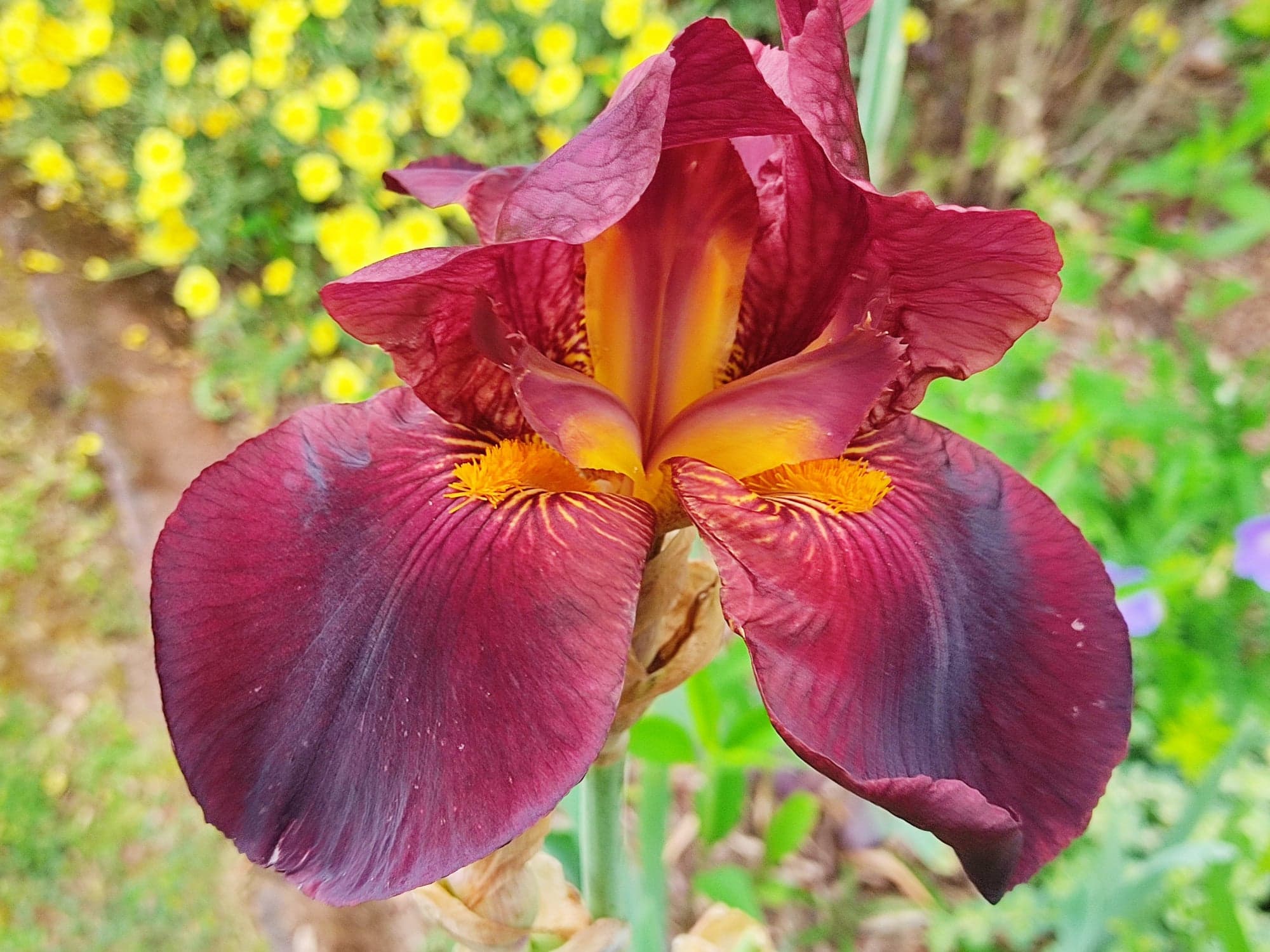 - image: 92