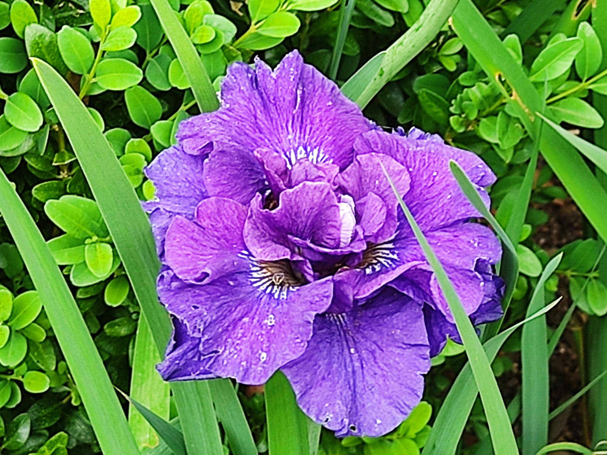 - image: 95