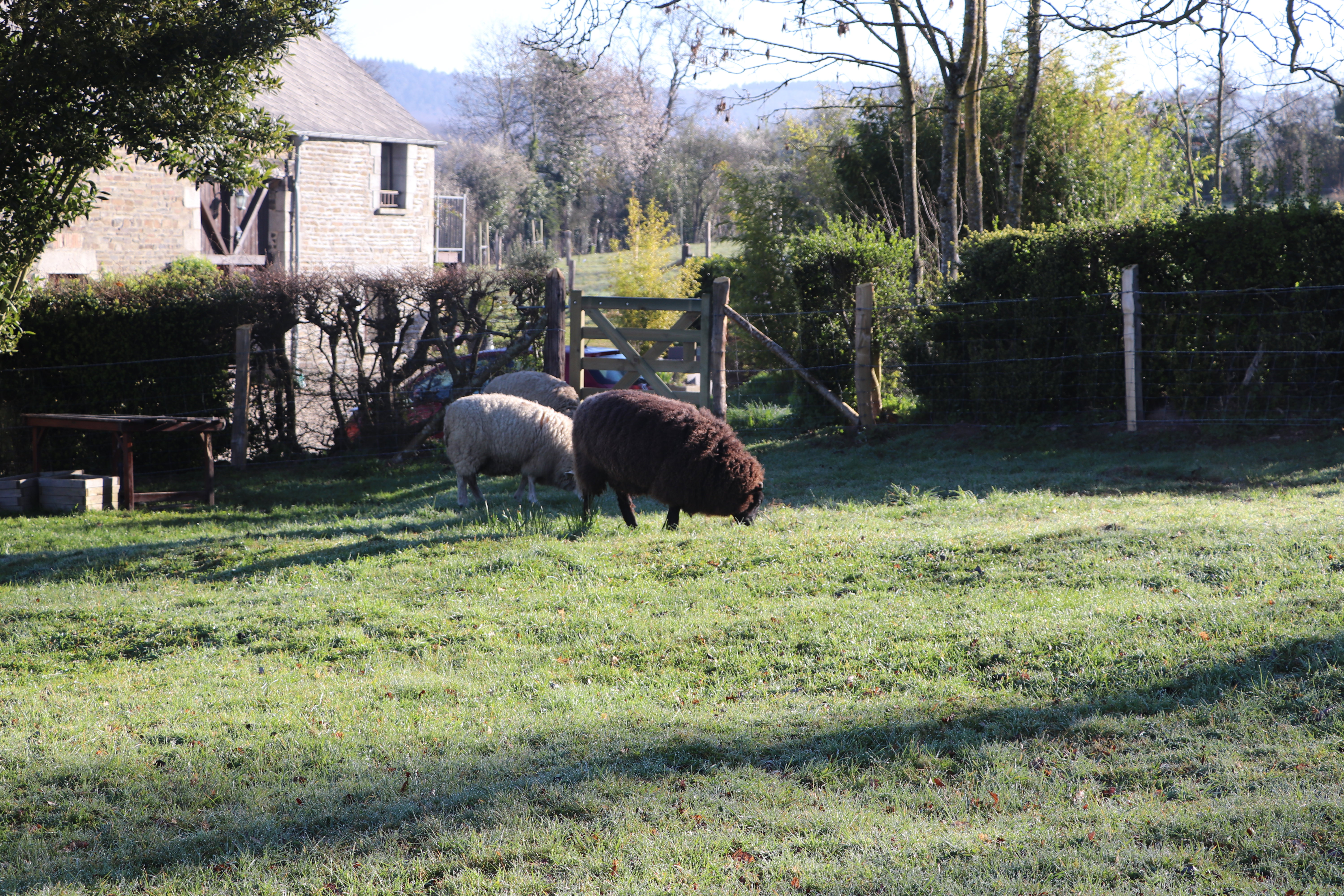 Maison nature à Rouperroux