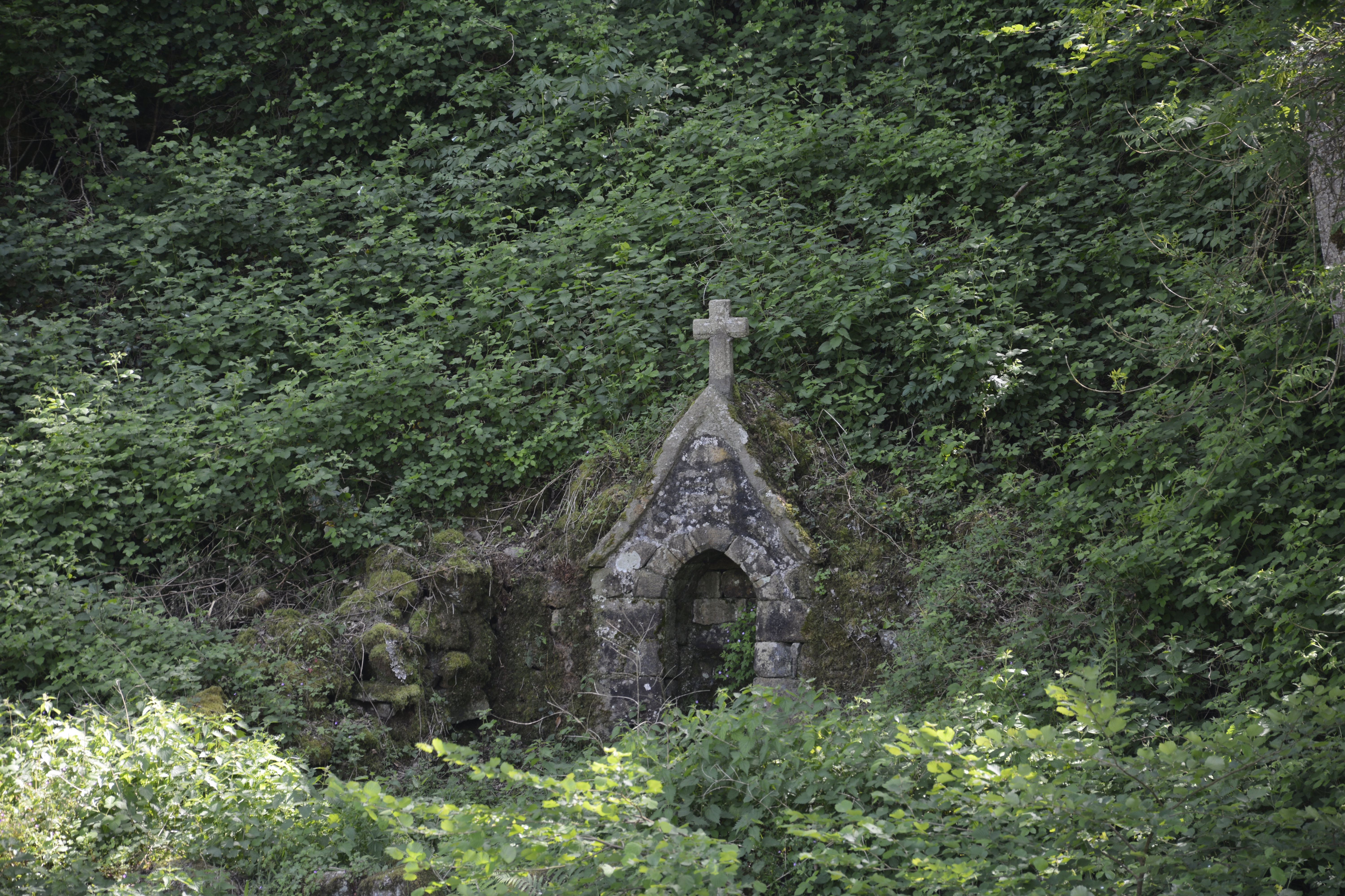 - image: 84