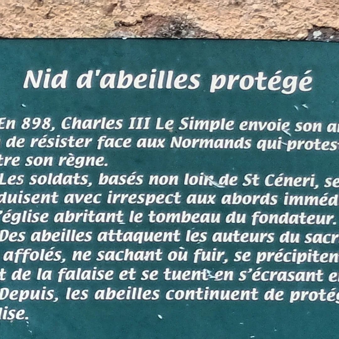 - image: 156
