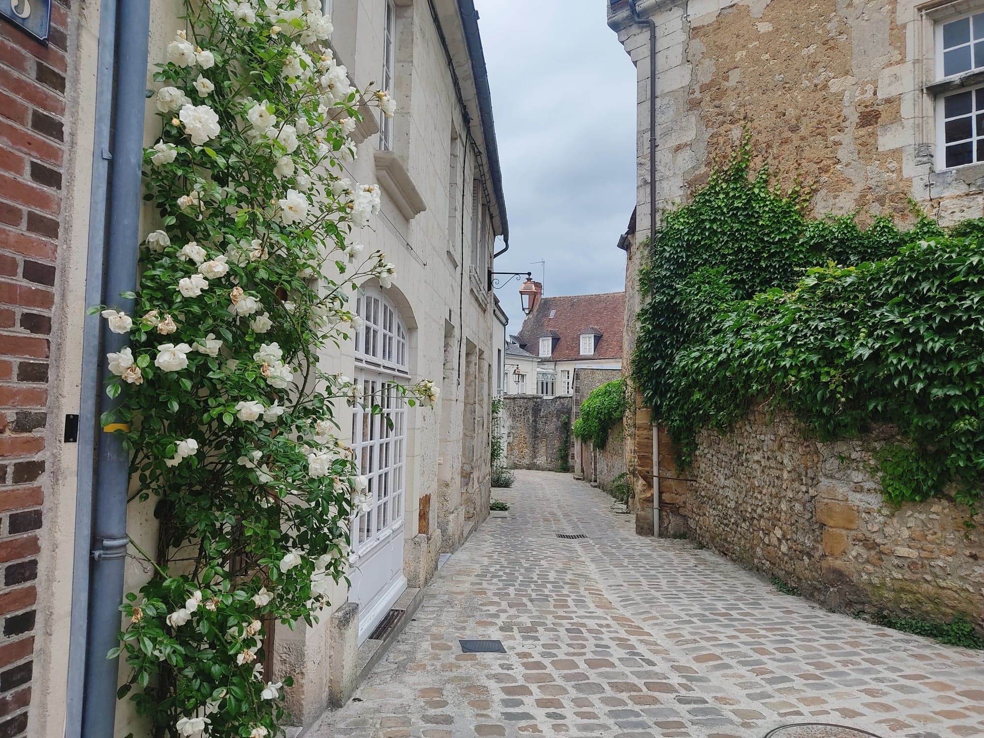 - image: 141