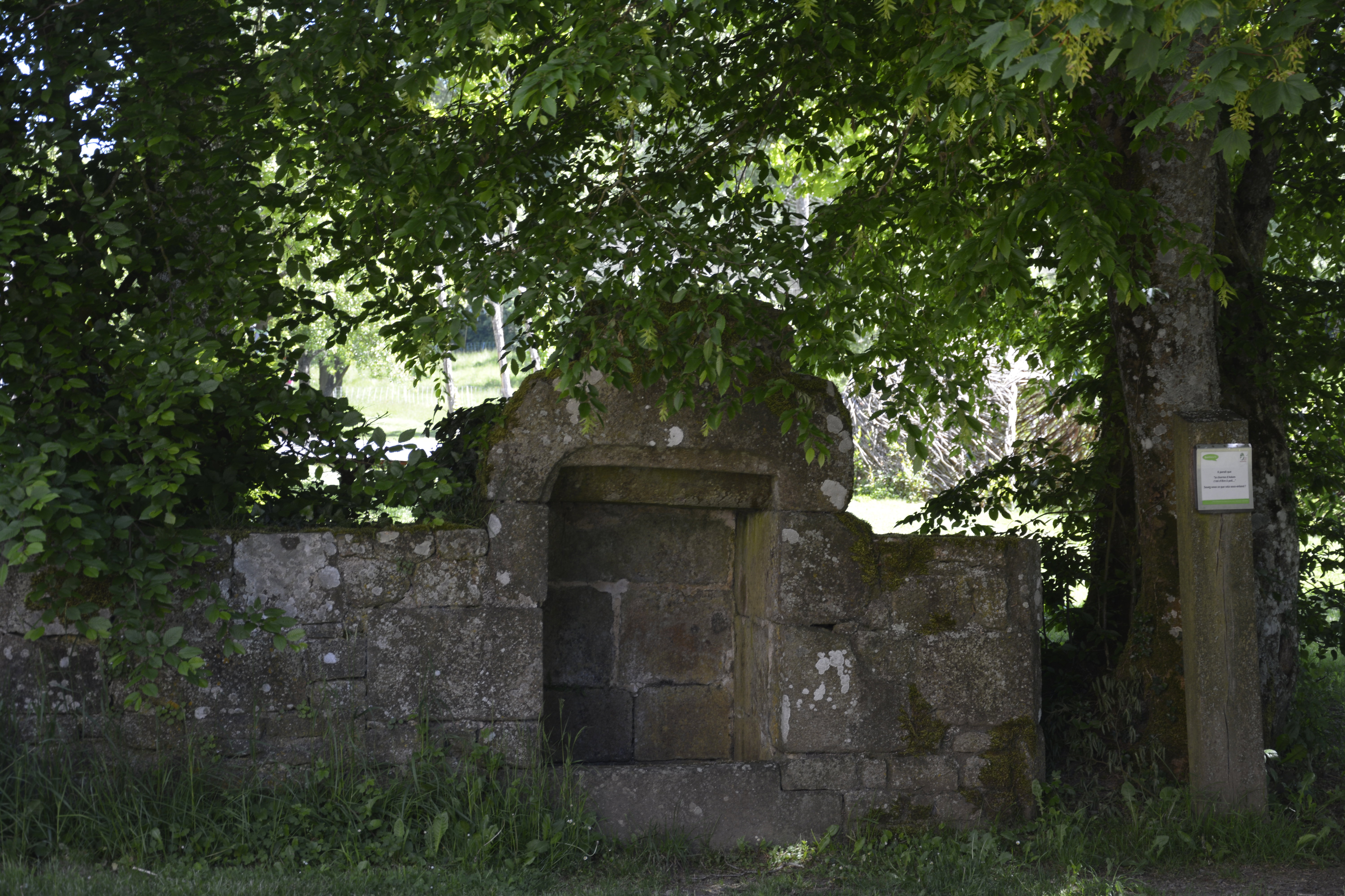 - image: 75