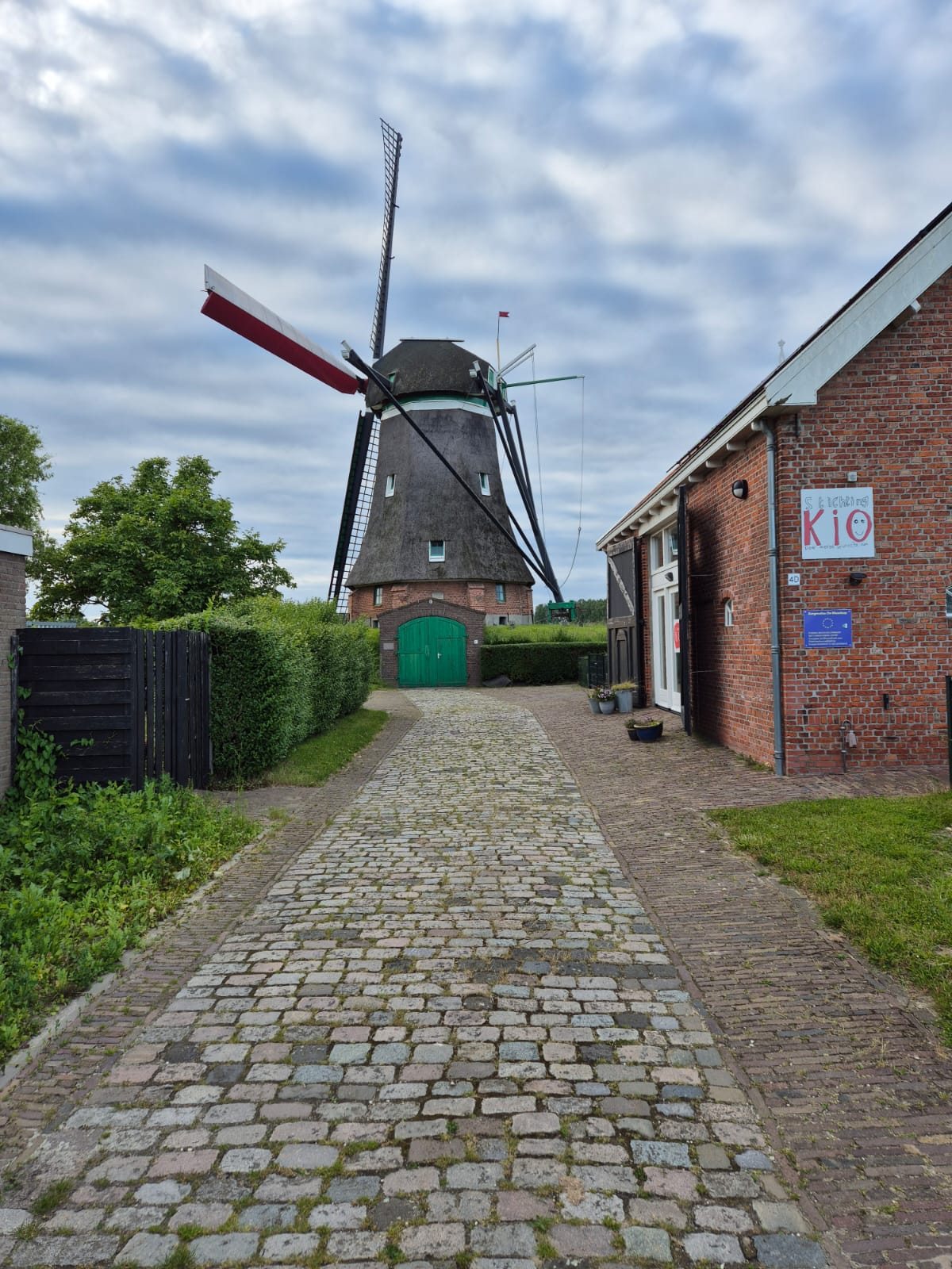 - image: 21