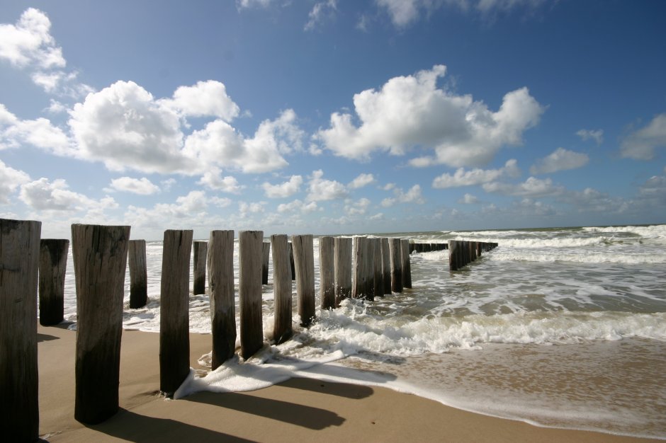 - image: 11