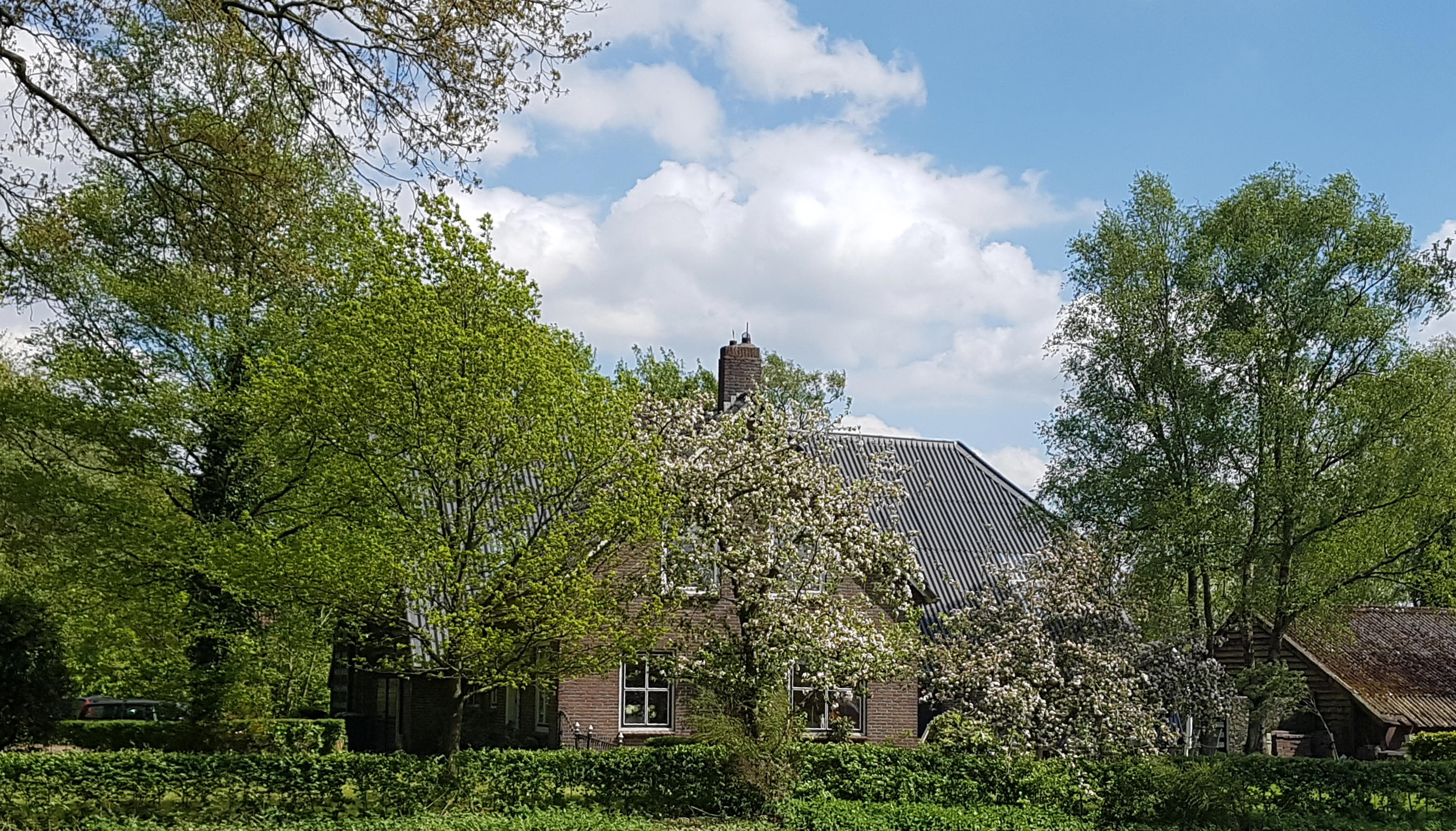 Nature house in Hooghalen