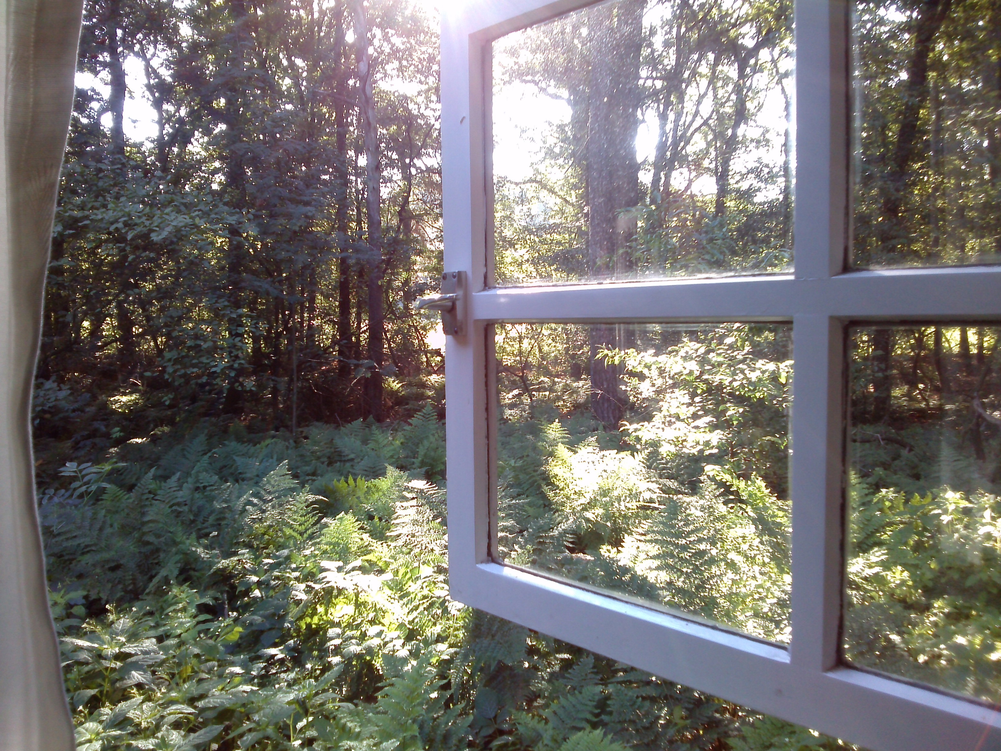 Nature house in IJhorst