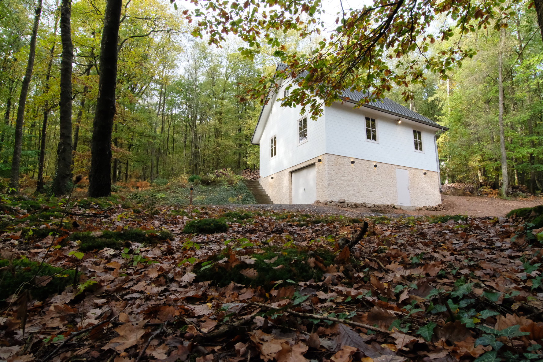Maison nature à Viroinval