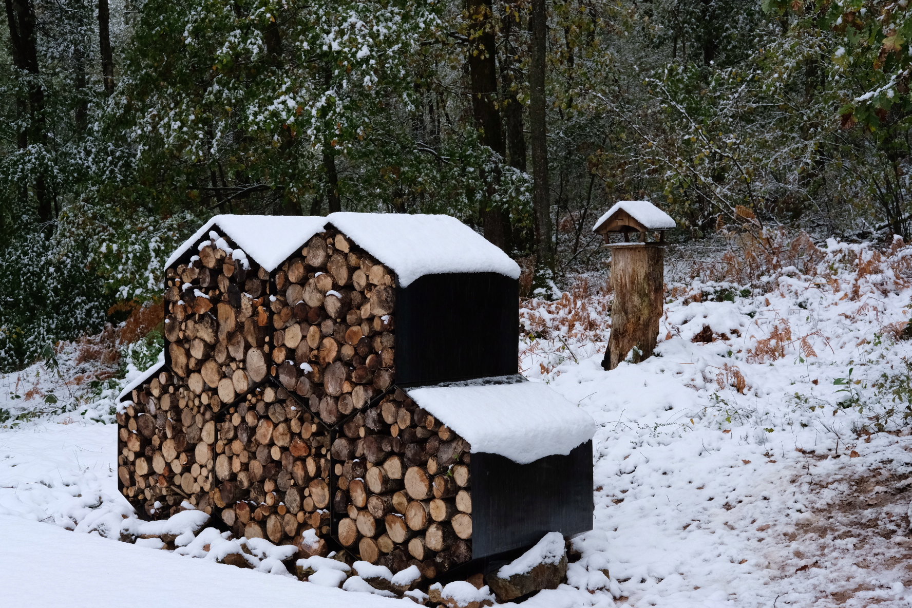 Maison nature à Viroinval