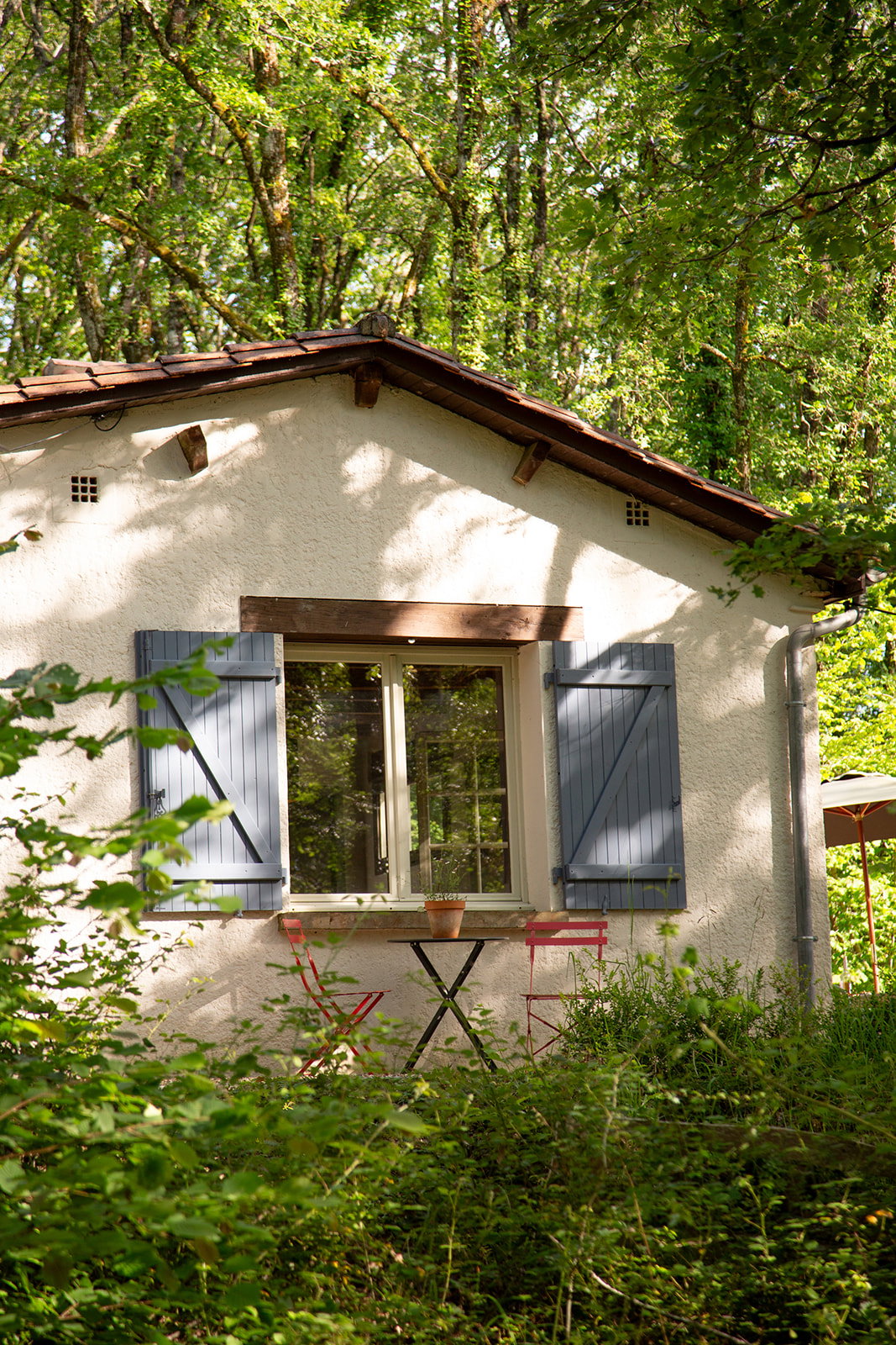 - image: 55