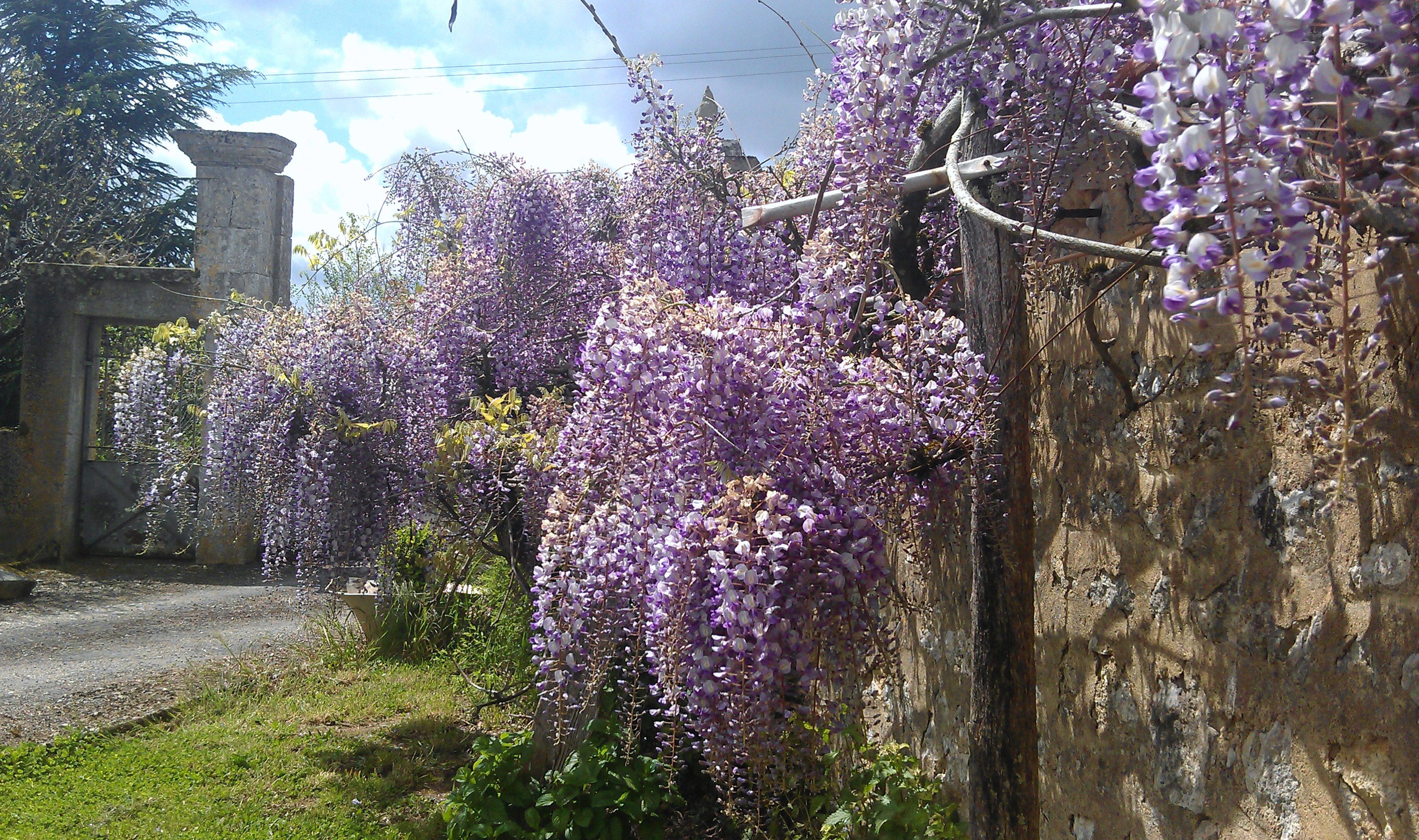 - image: 15