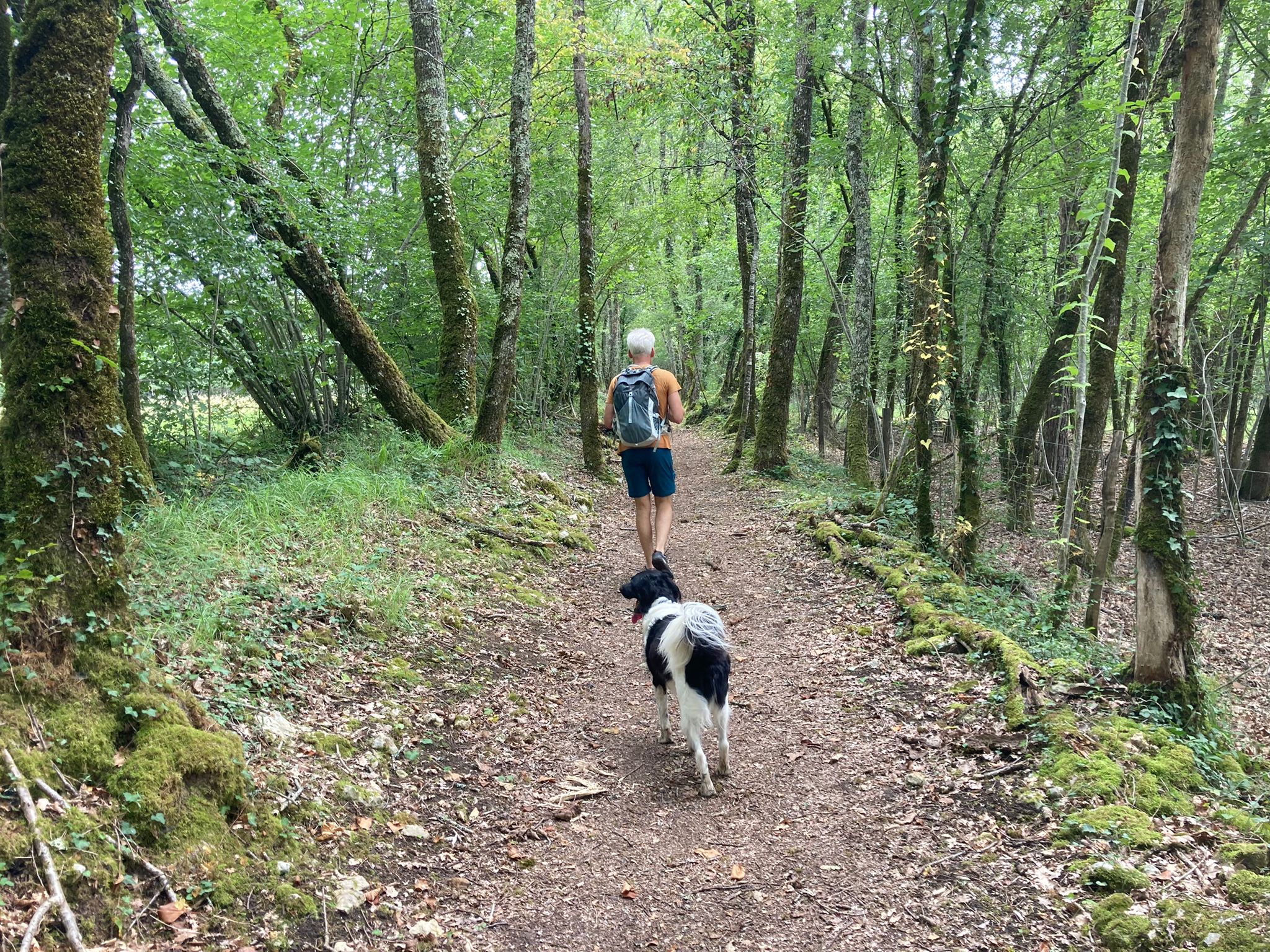 Natuurhuisje in La Rochefoucauld en Angoumois