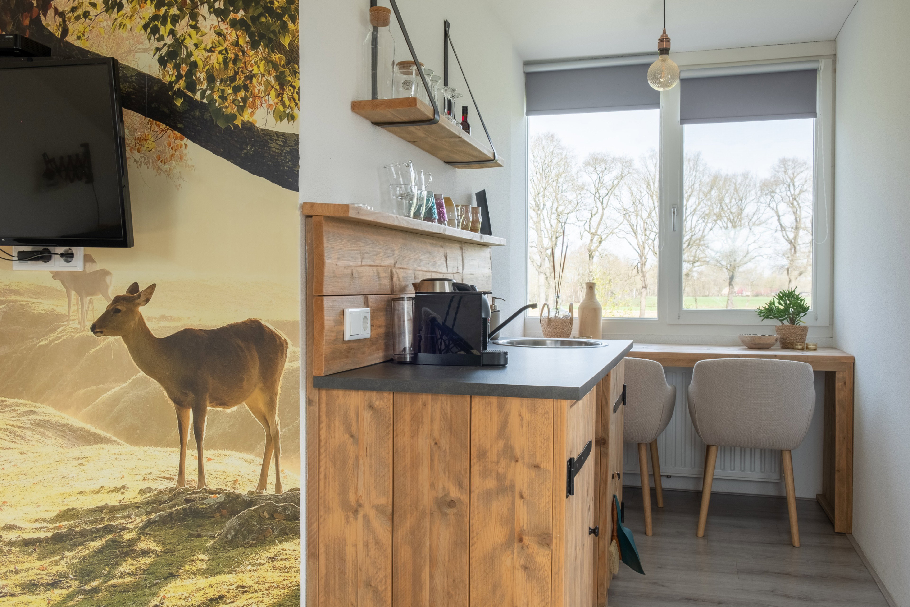 Maison nature à Ruinen