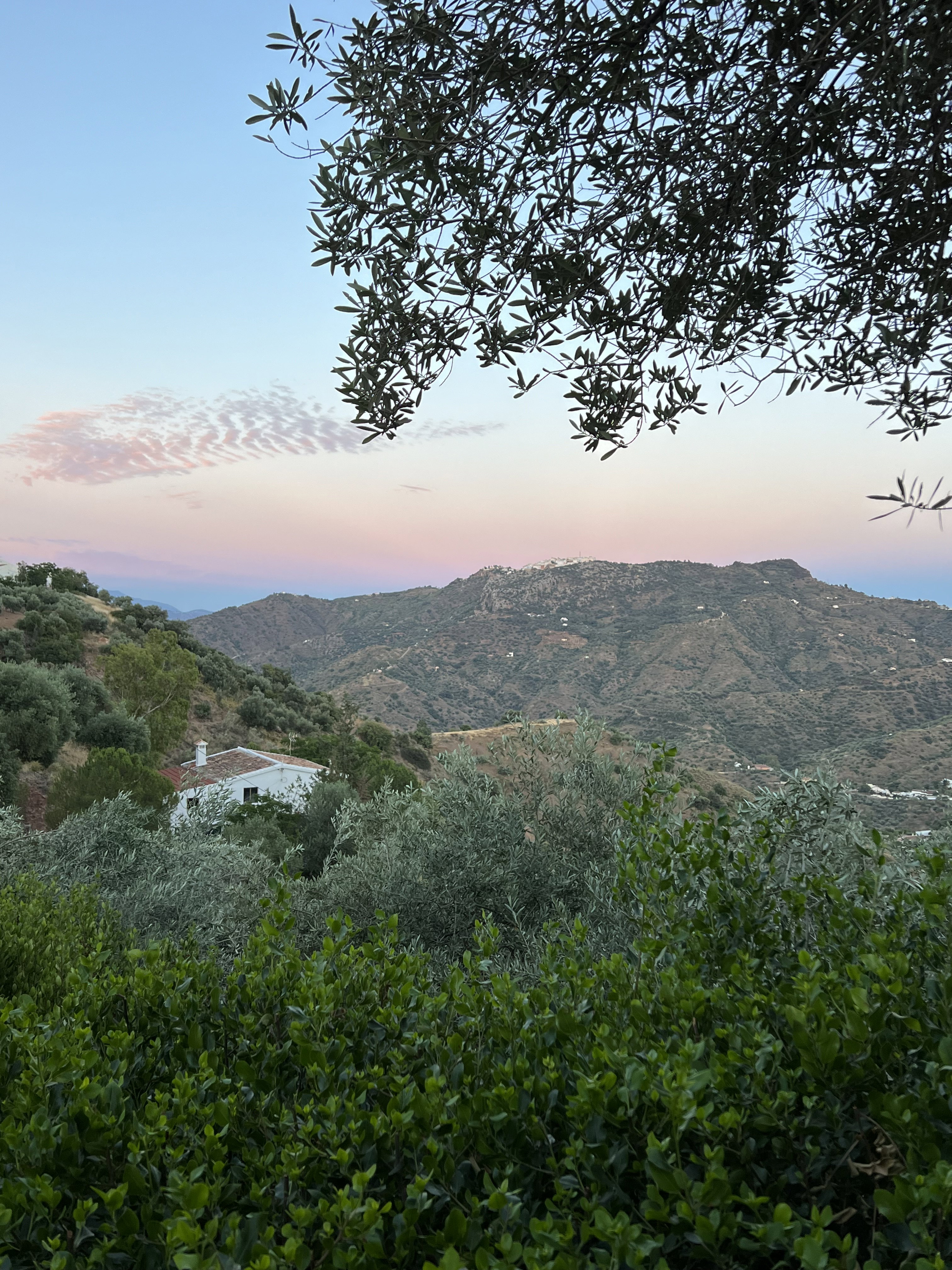 Nature house in Colmenar Solano