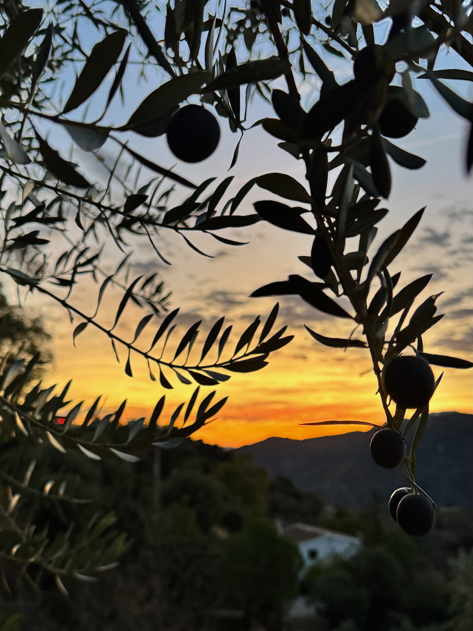 Casa nella natura a Colmenar Solano