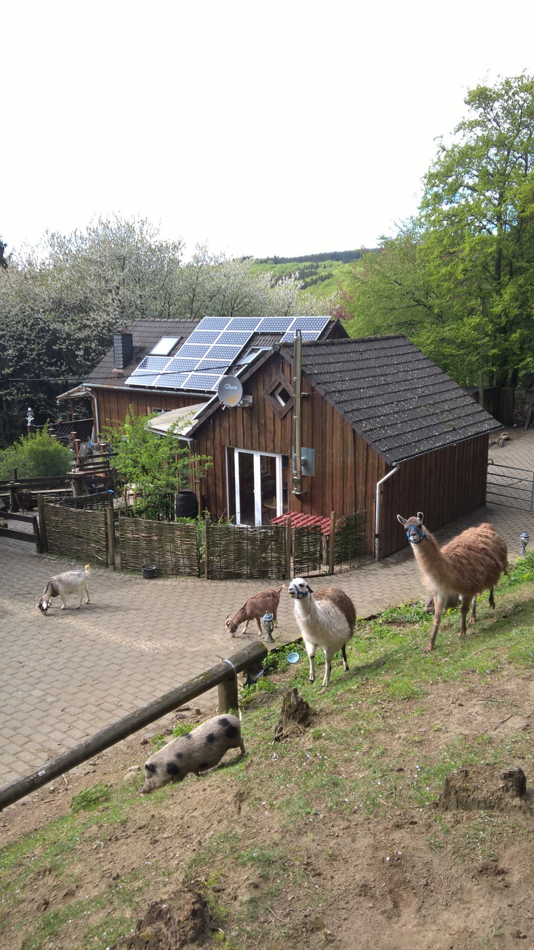 Naturhäuschen in Sassen