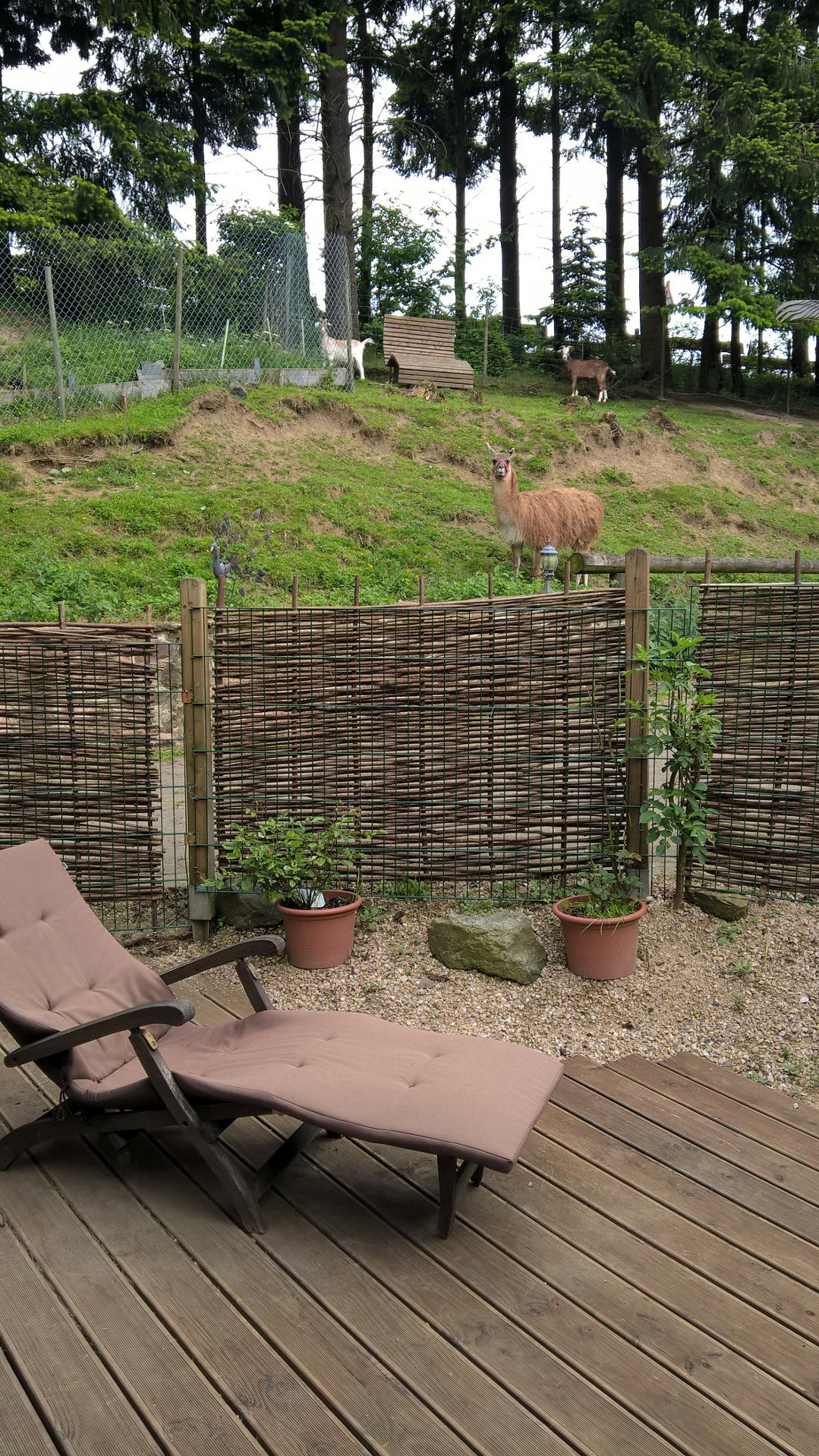 Naturhäuschen in Sassen