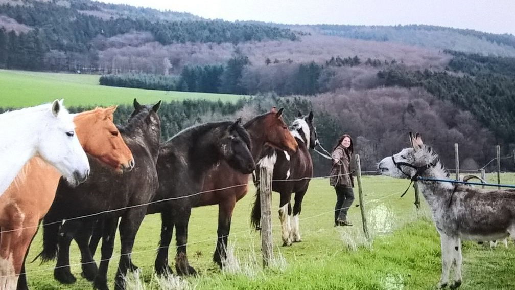 Naturhäuschen in Sassen