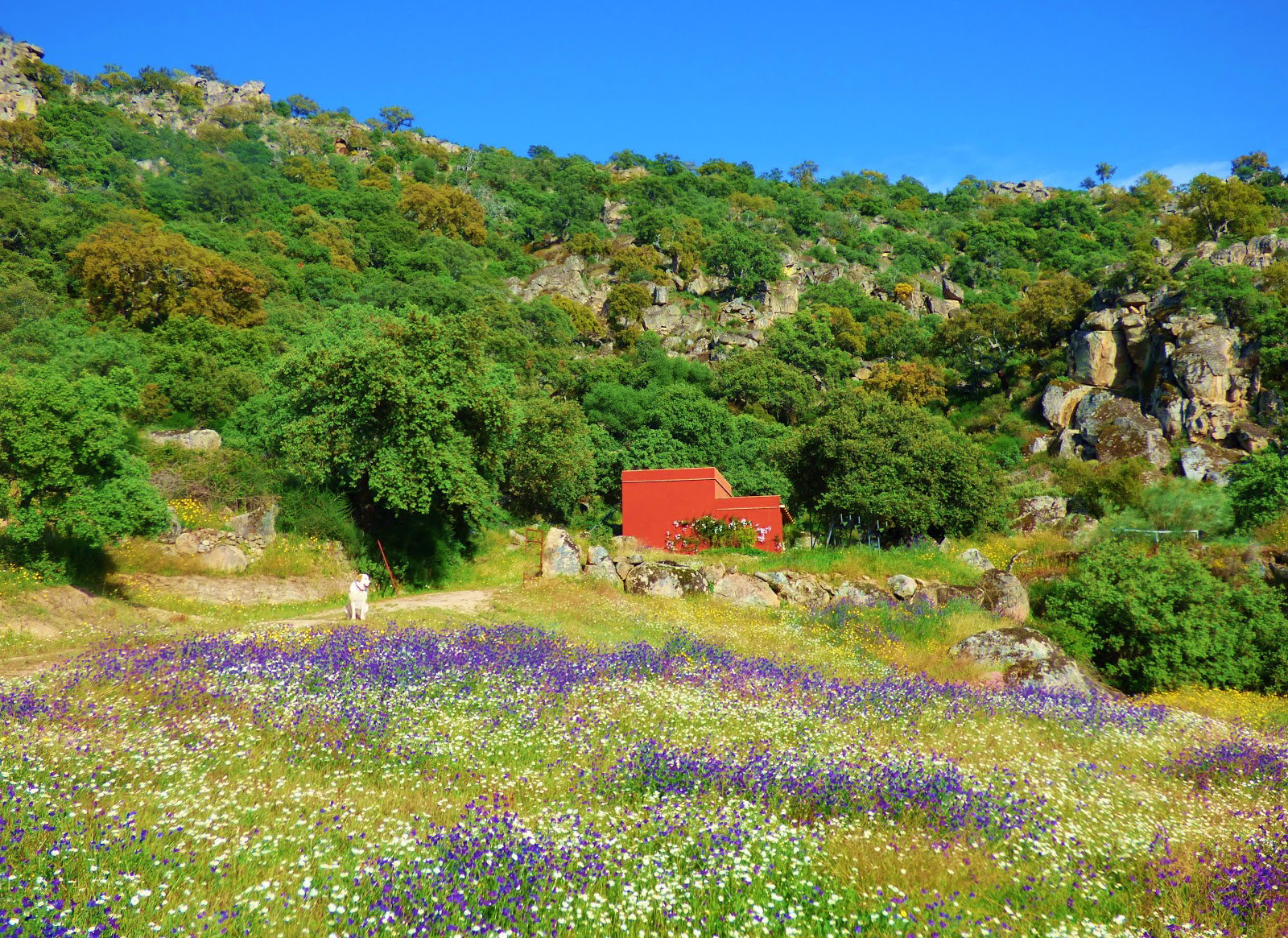 Maison nature à Montanchez