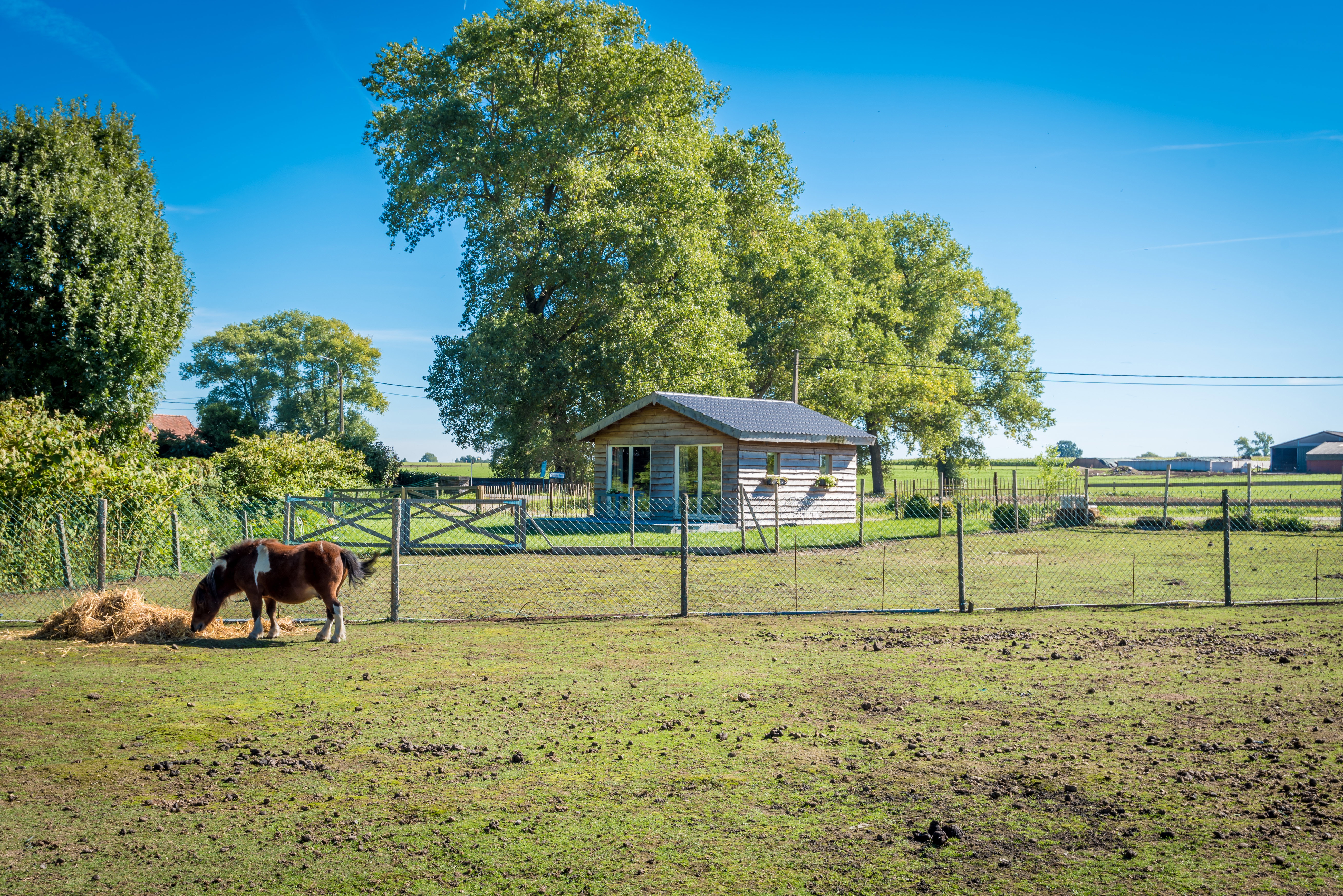 Naturhäuschen in Torhout