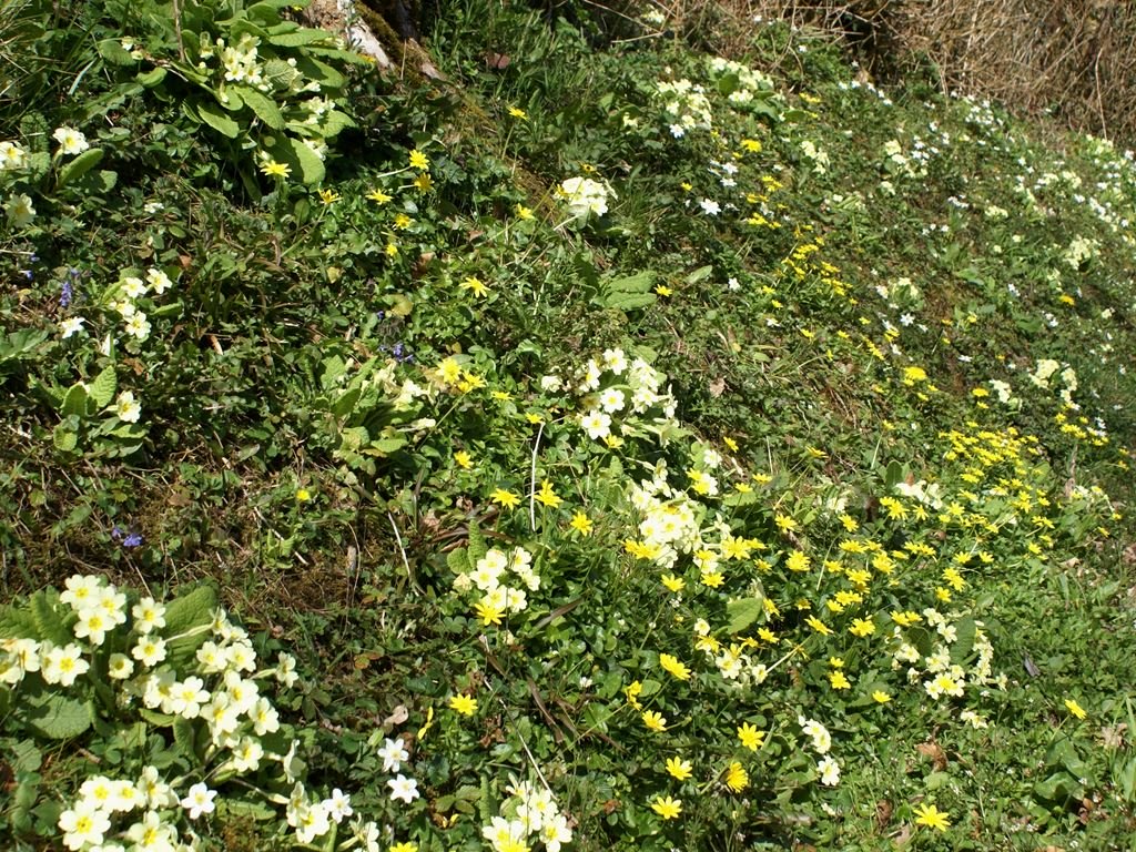 - image: 21