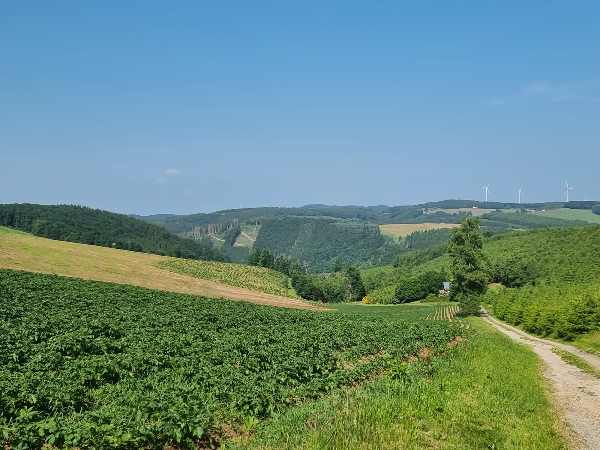 Casa nella natura a Burg-Reuland