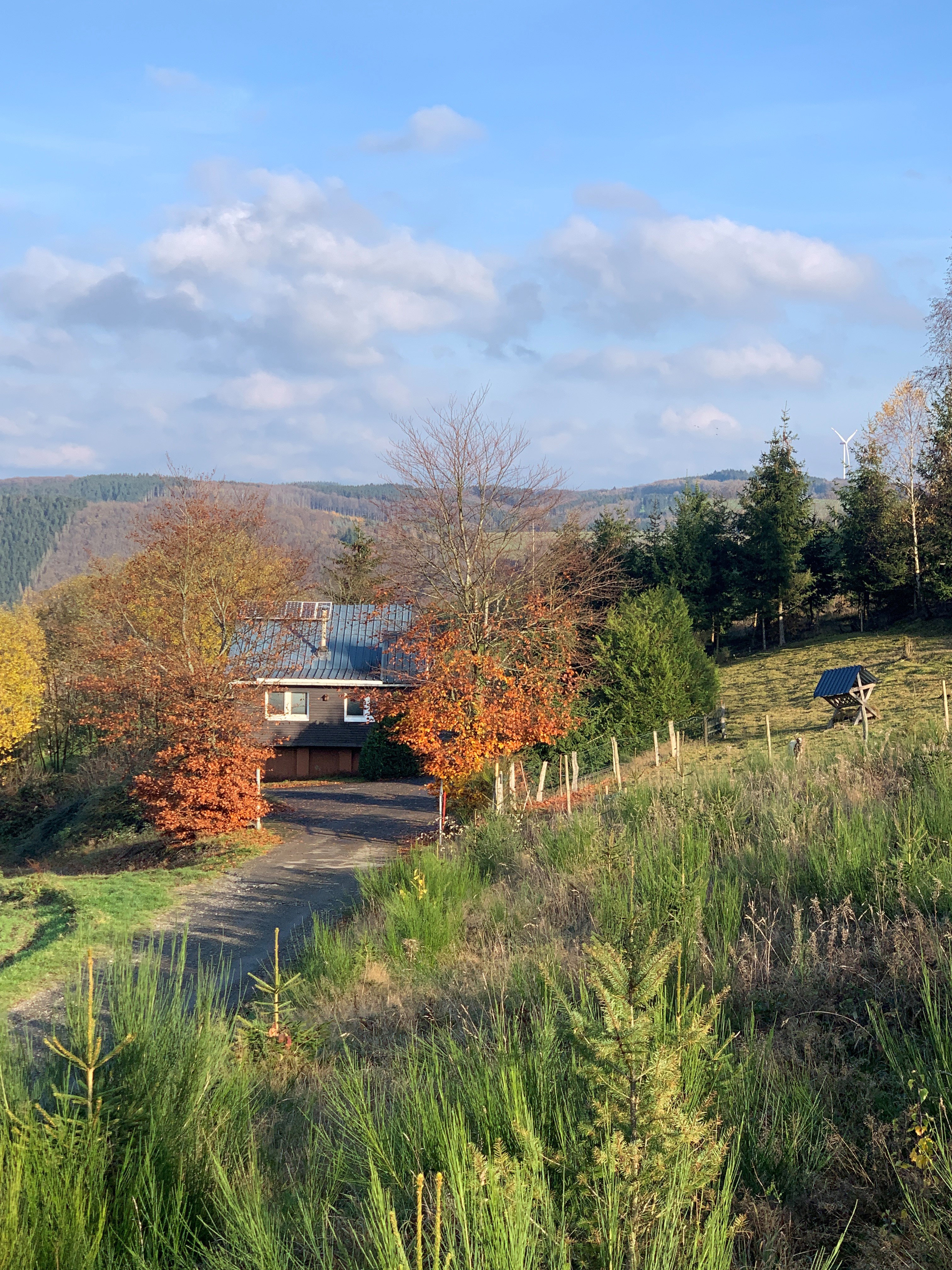Naturhäuschen in Burg-Reuland