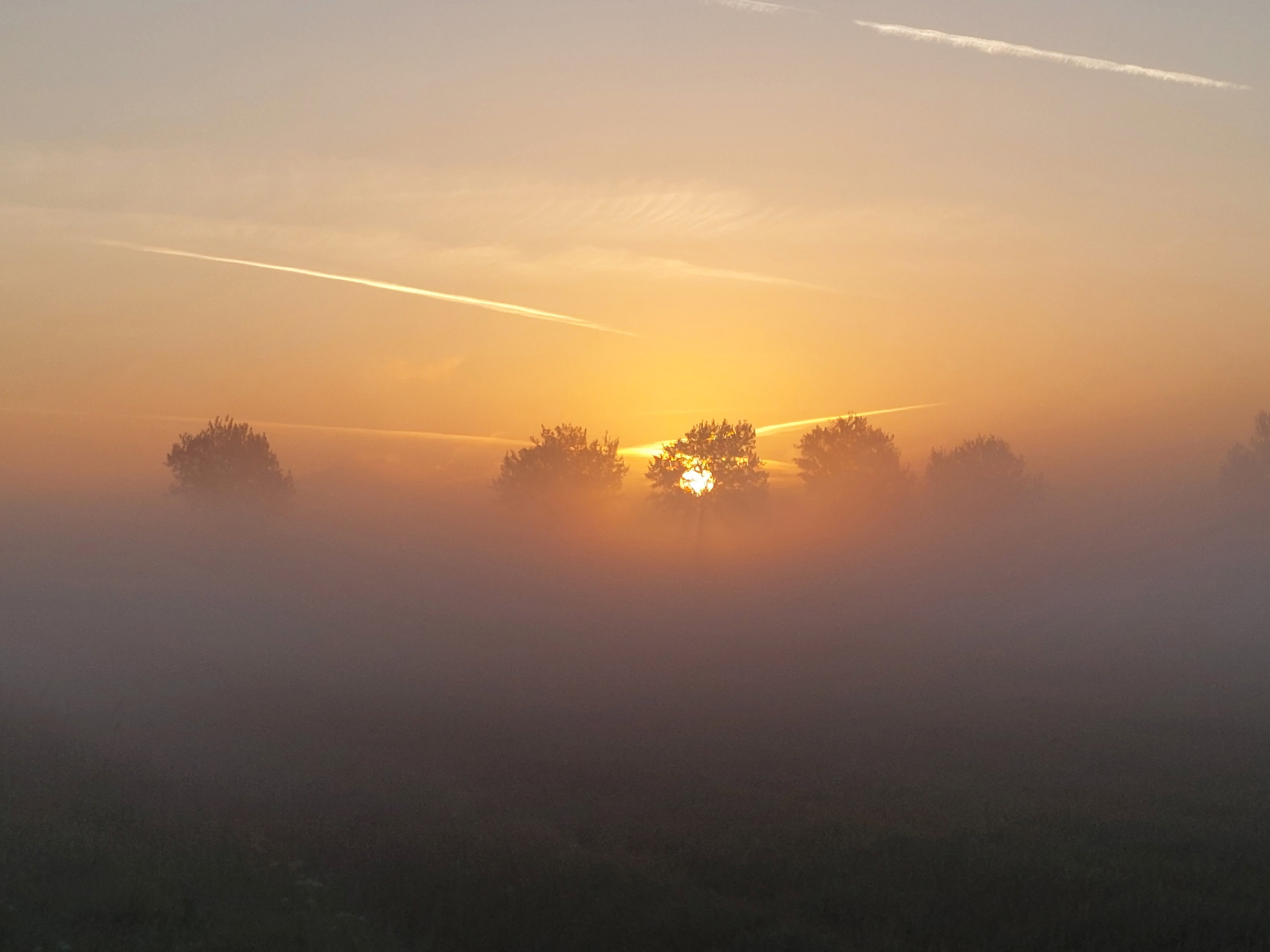 - image: 22