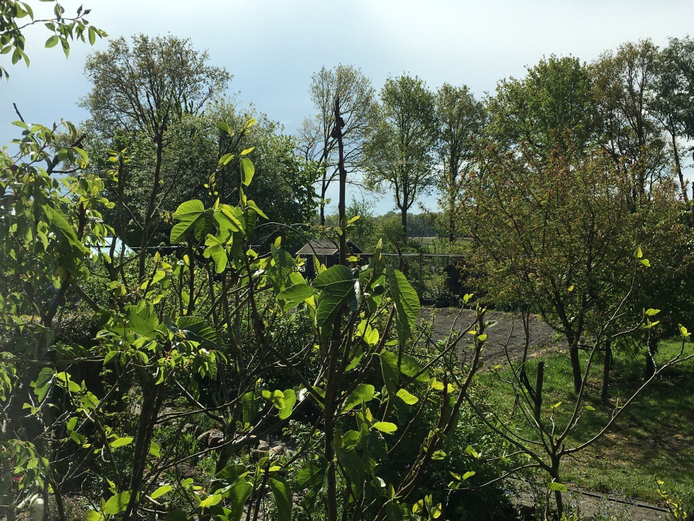 Casa nella natura a Appelscha