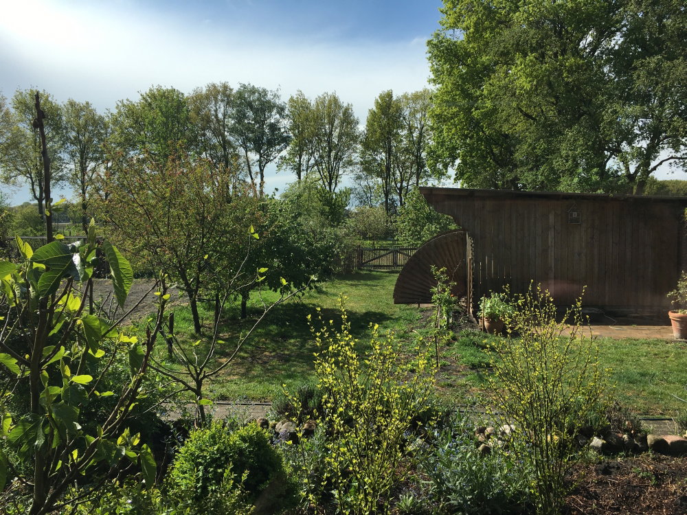 Casa nella natura a Appelscha