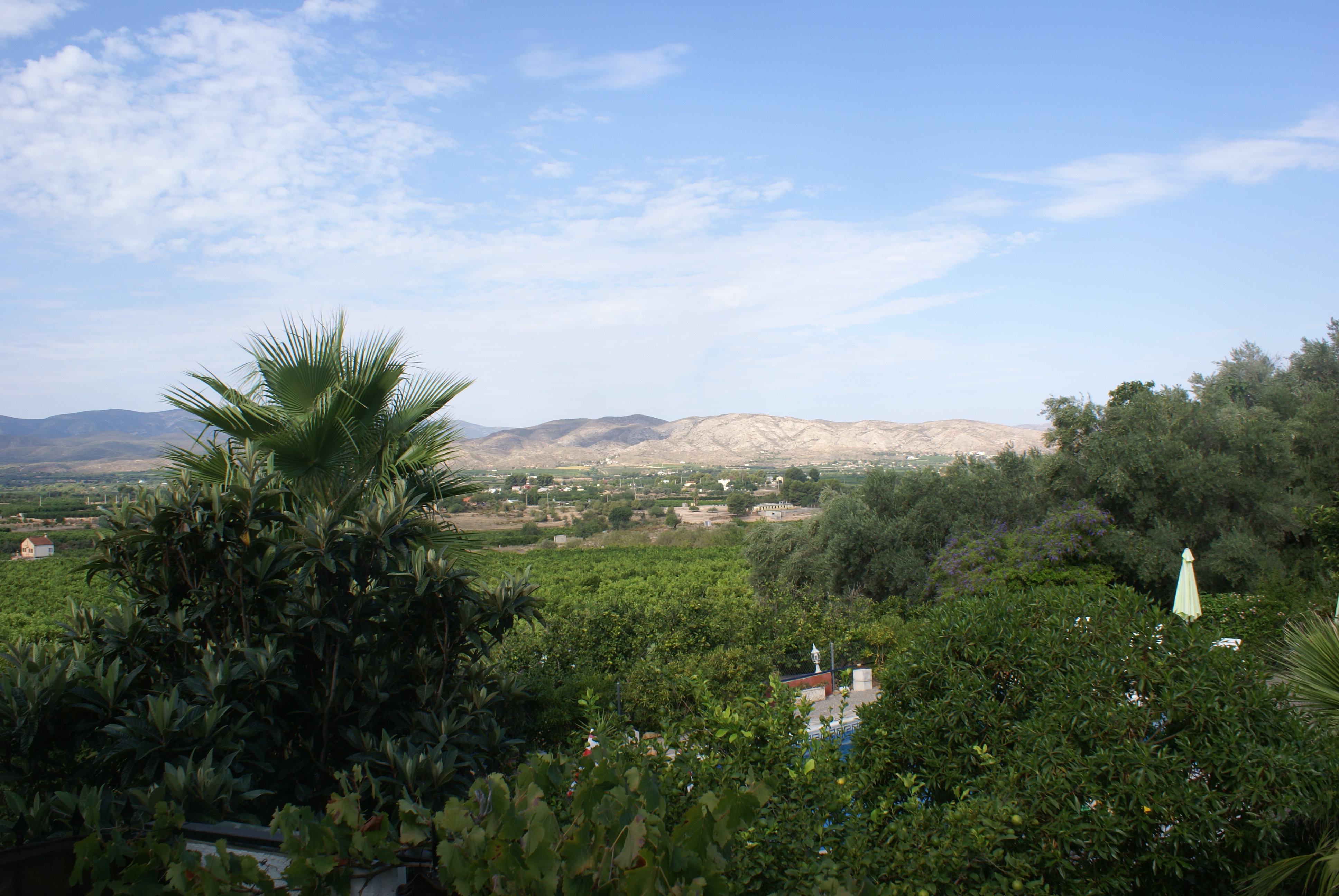 - image: 26