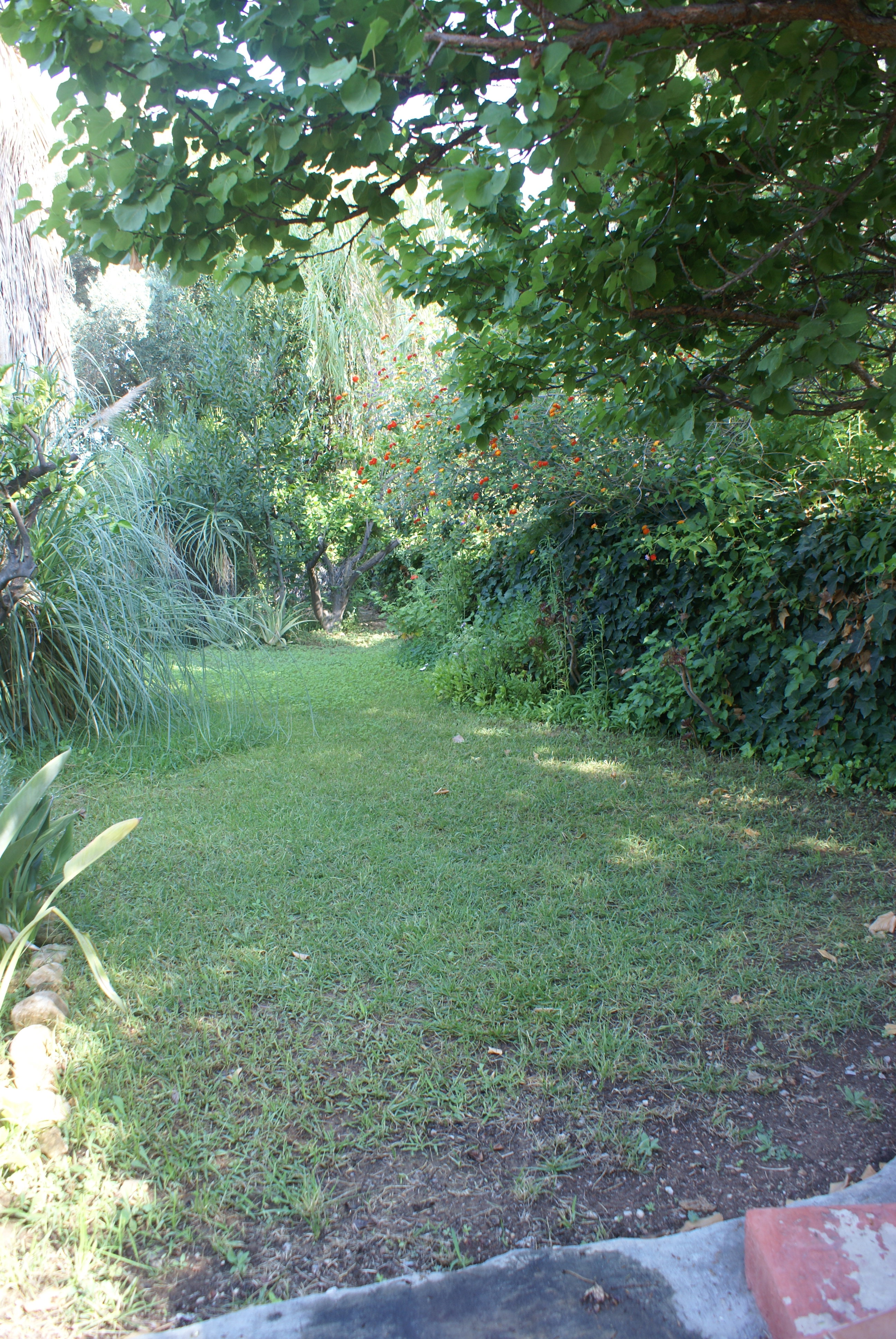 - image: 28