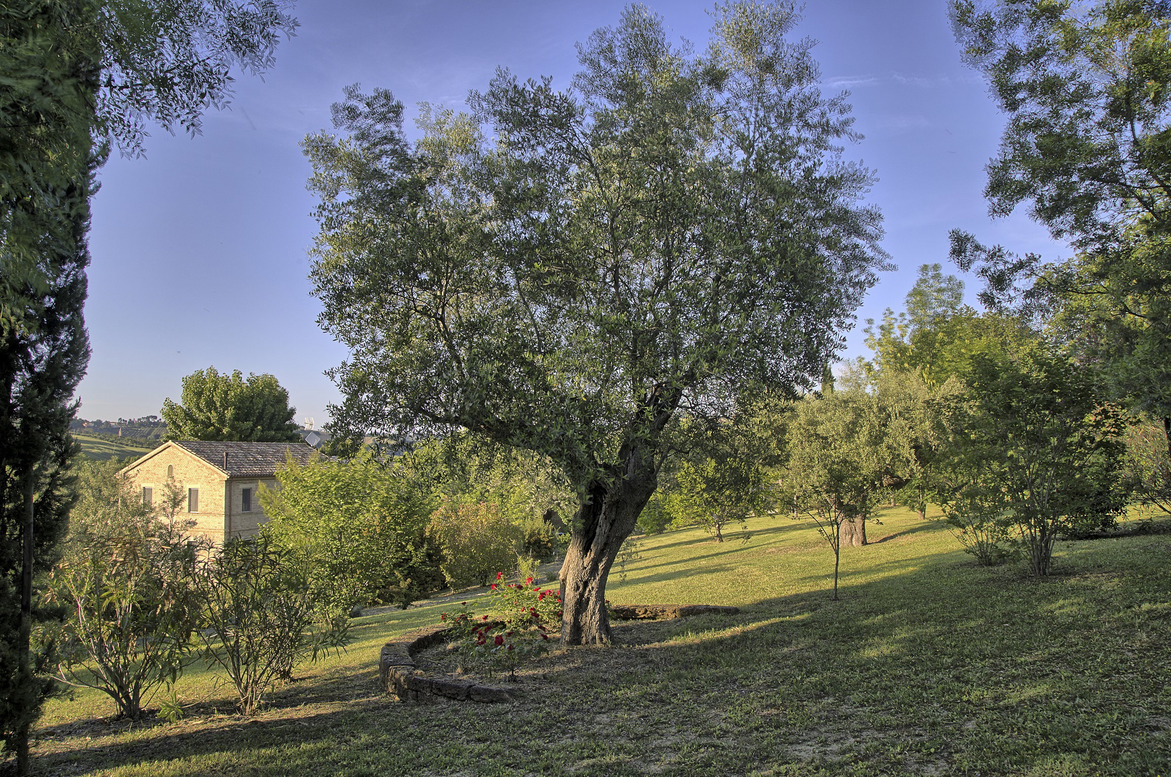 - image: 24