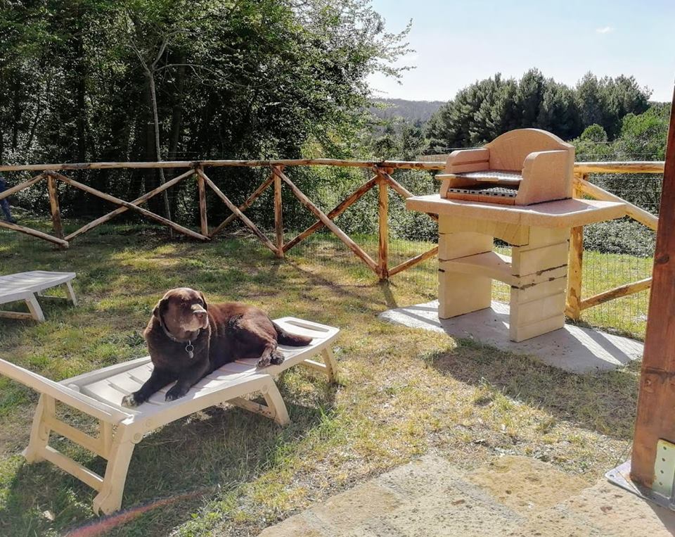 Nature house in Montescudaio