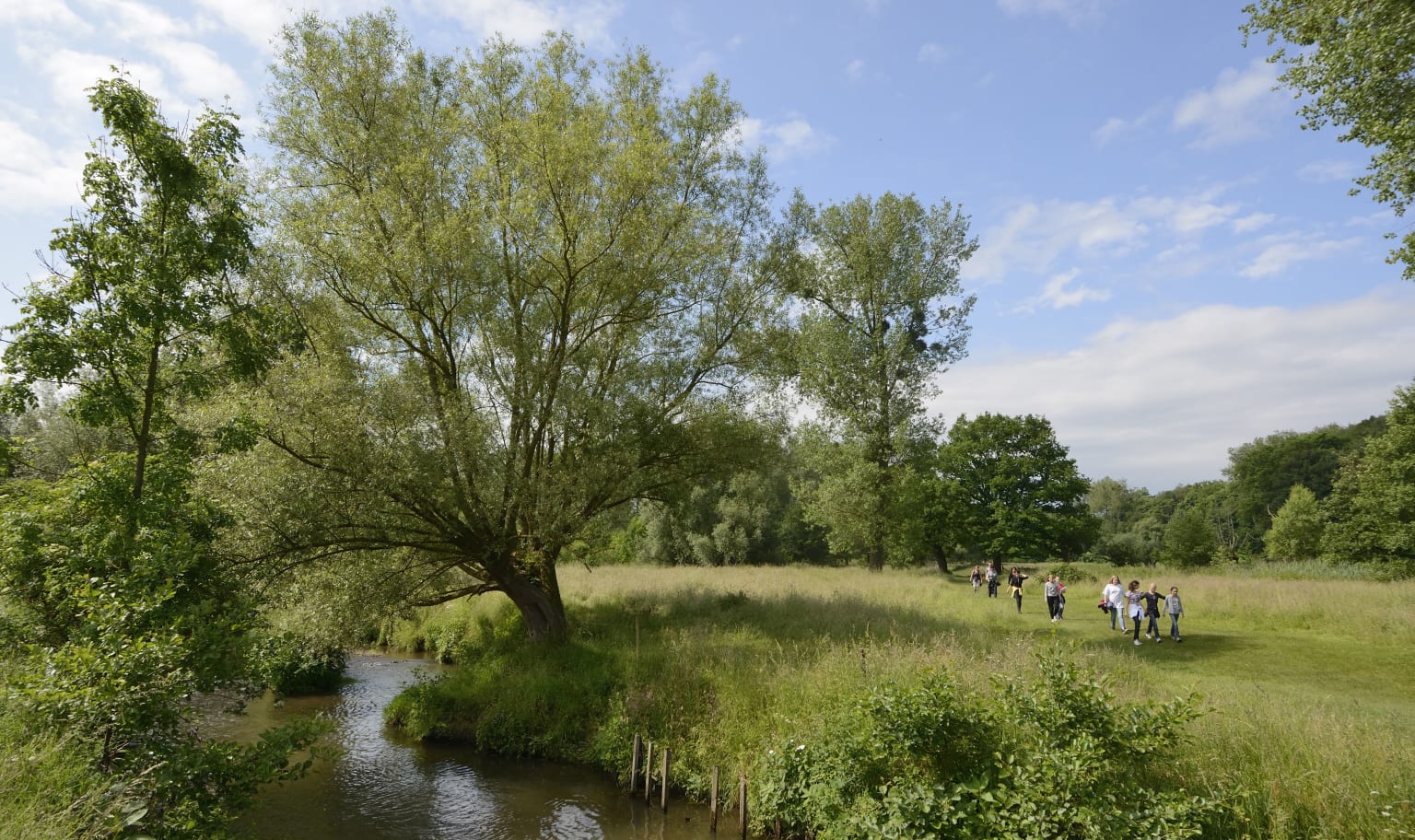 Naturhäuschen in Epen
