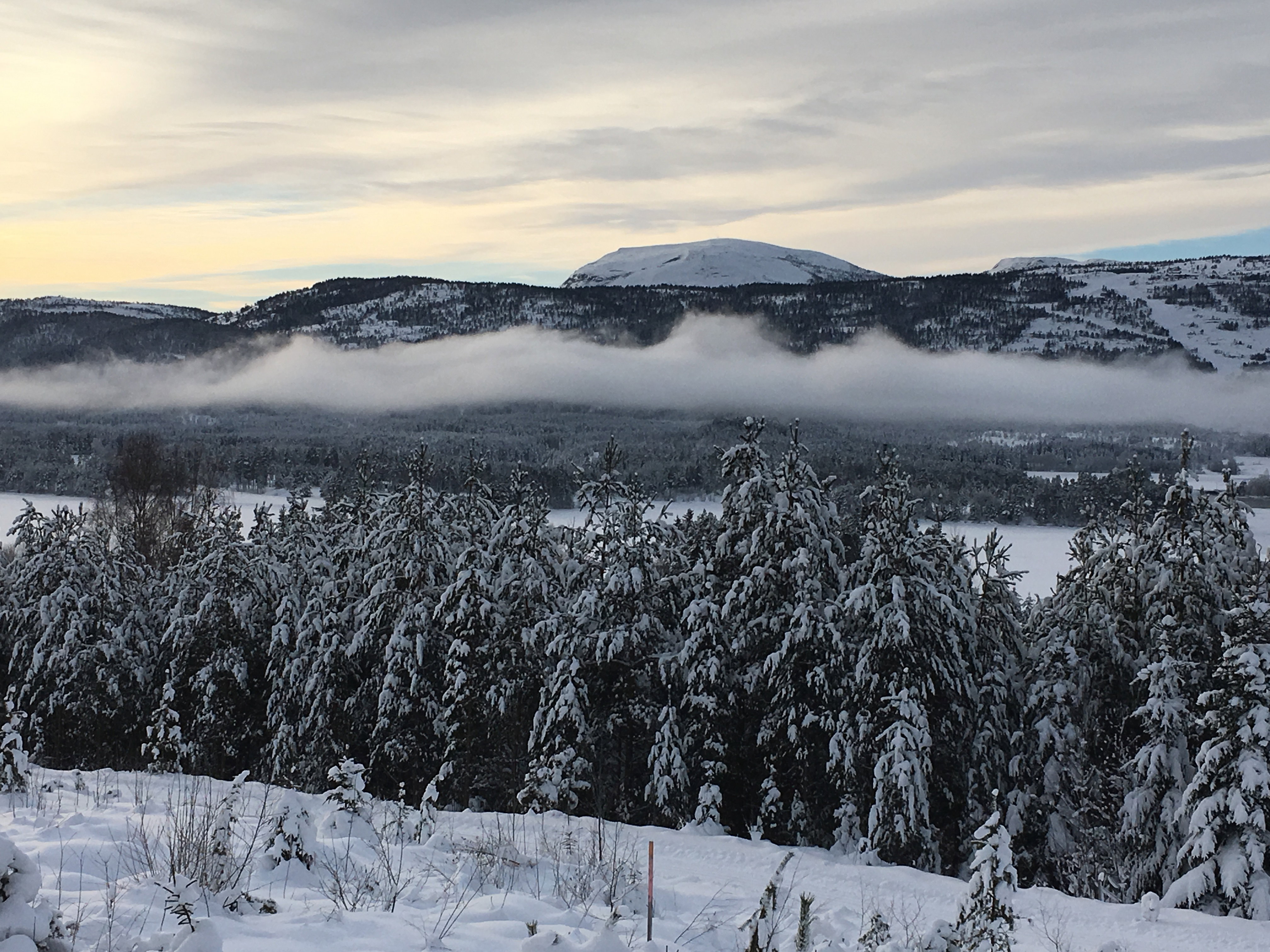 Maison nature à Vrådal