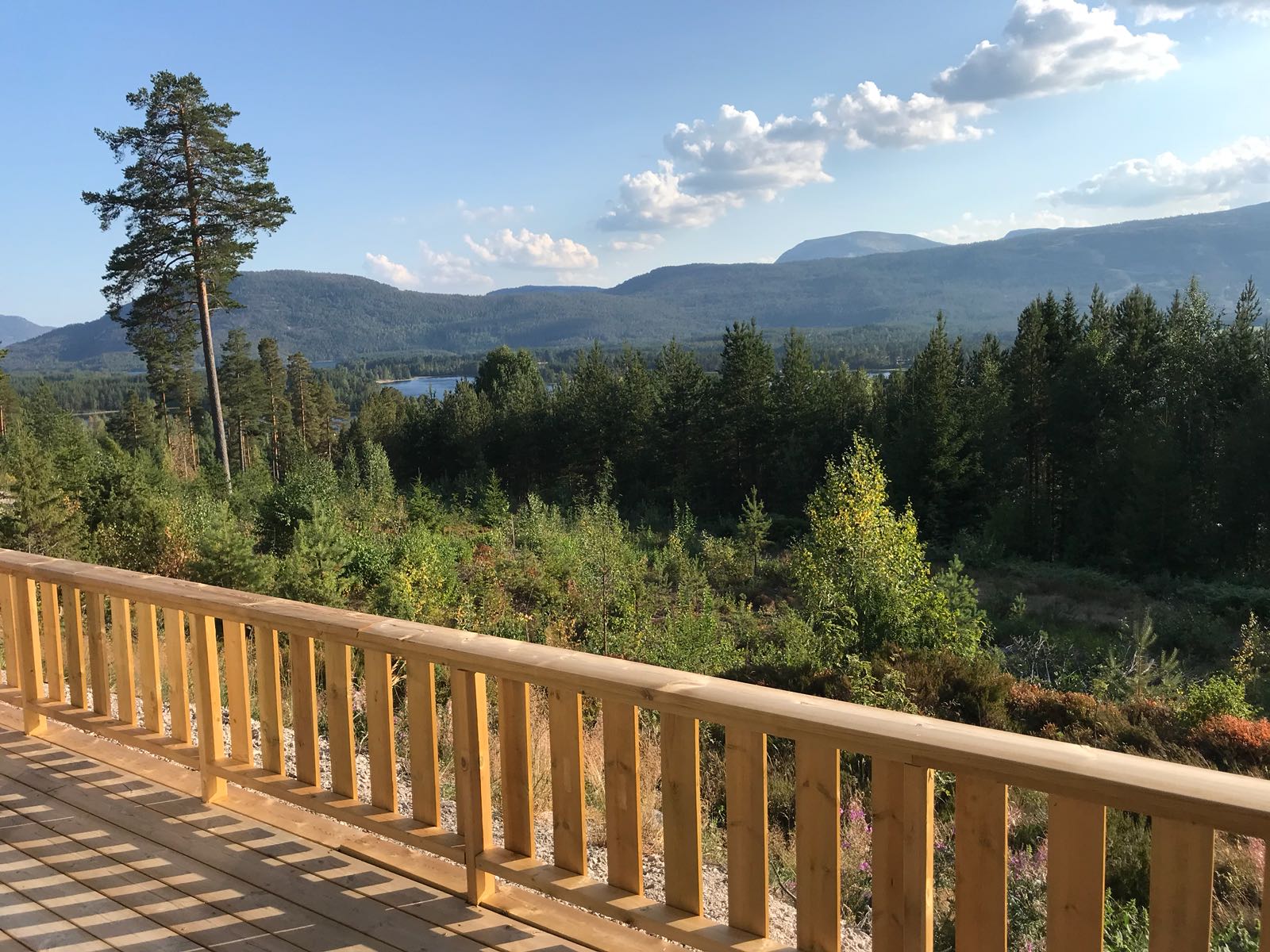 Maison nature à Vrådal