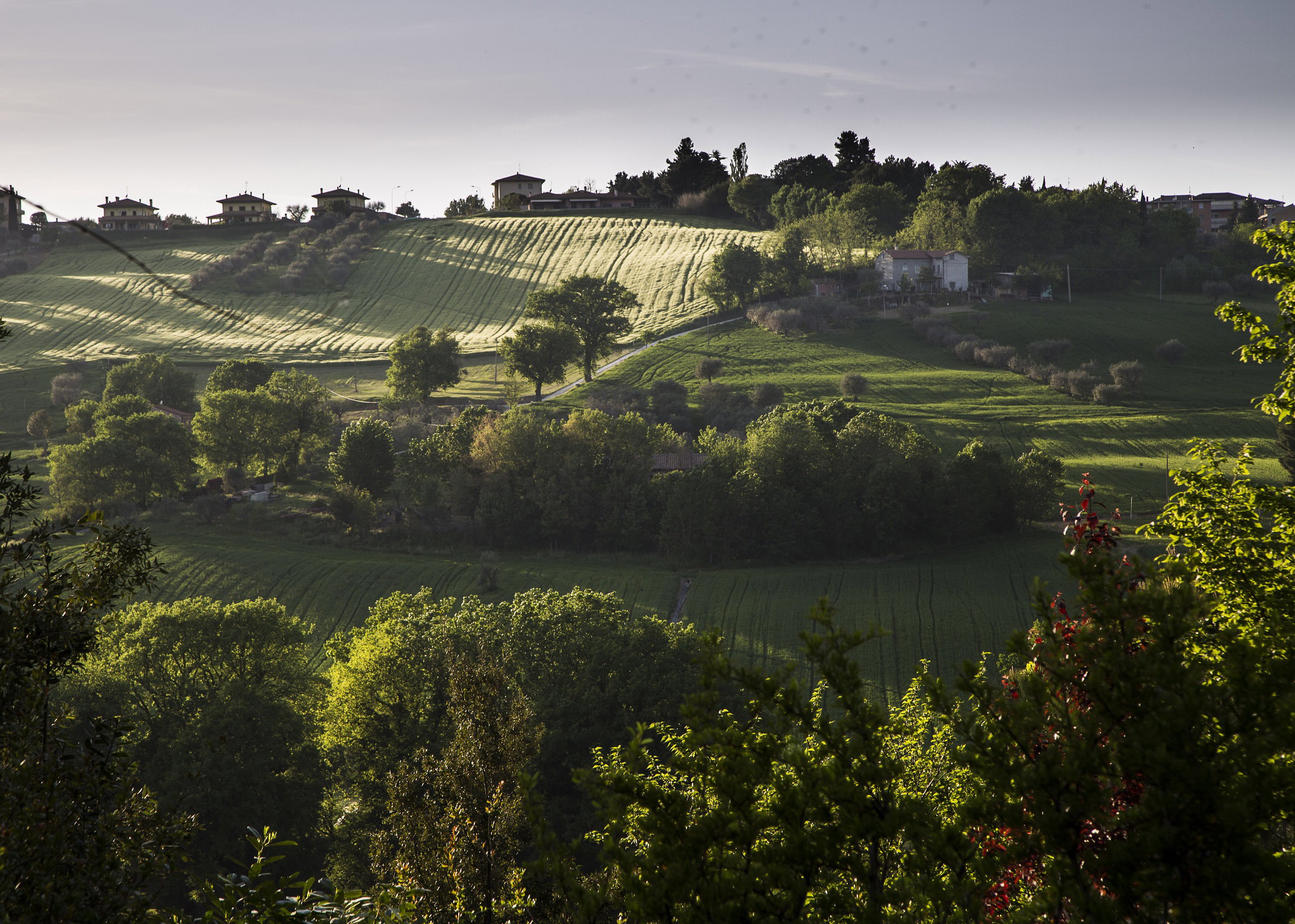 Nature house in Ostra