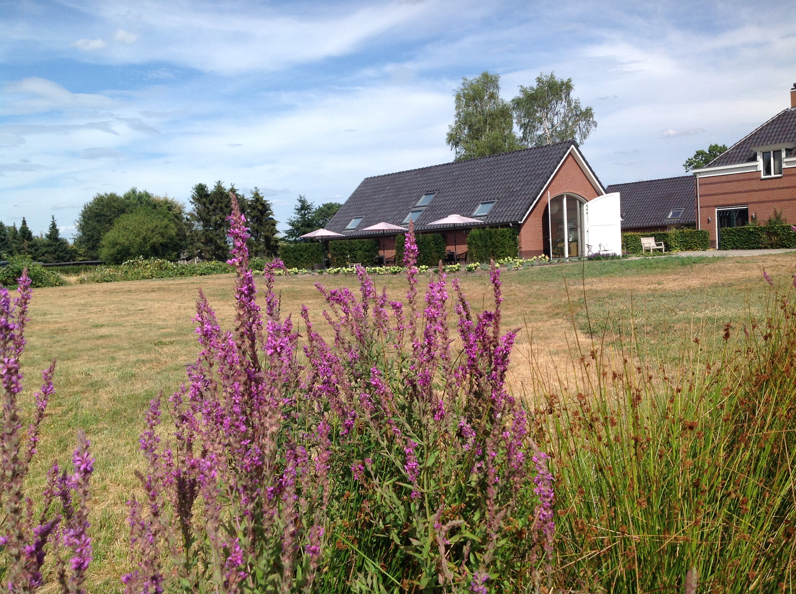 Maison nature à Eerbeek