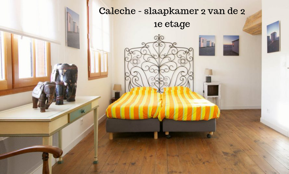 - image: 8