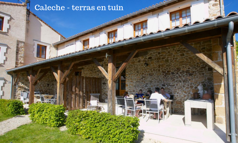 - image: 11