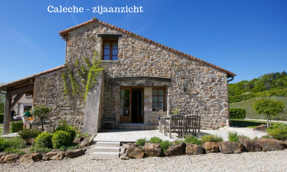 - image: 12