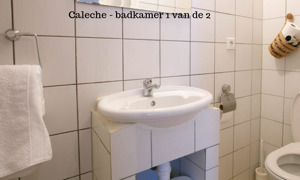 - image: 9