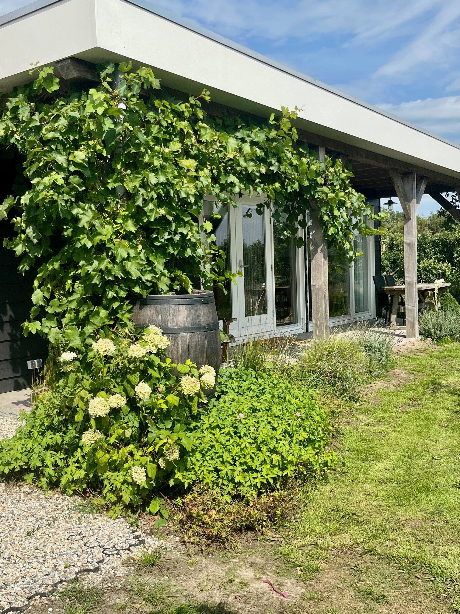 Maison nature à Kraggenburg
