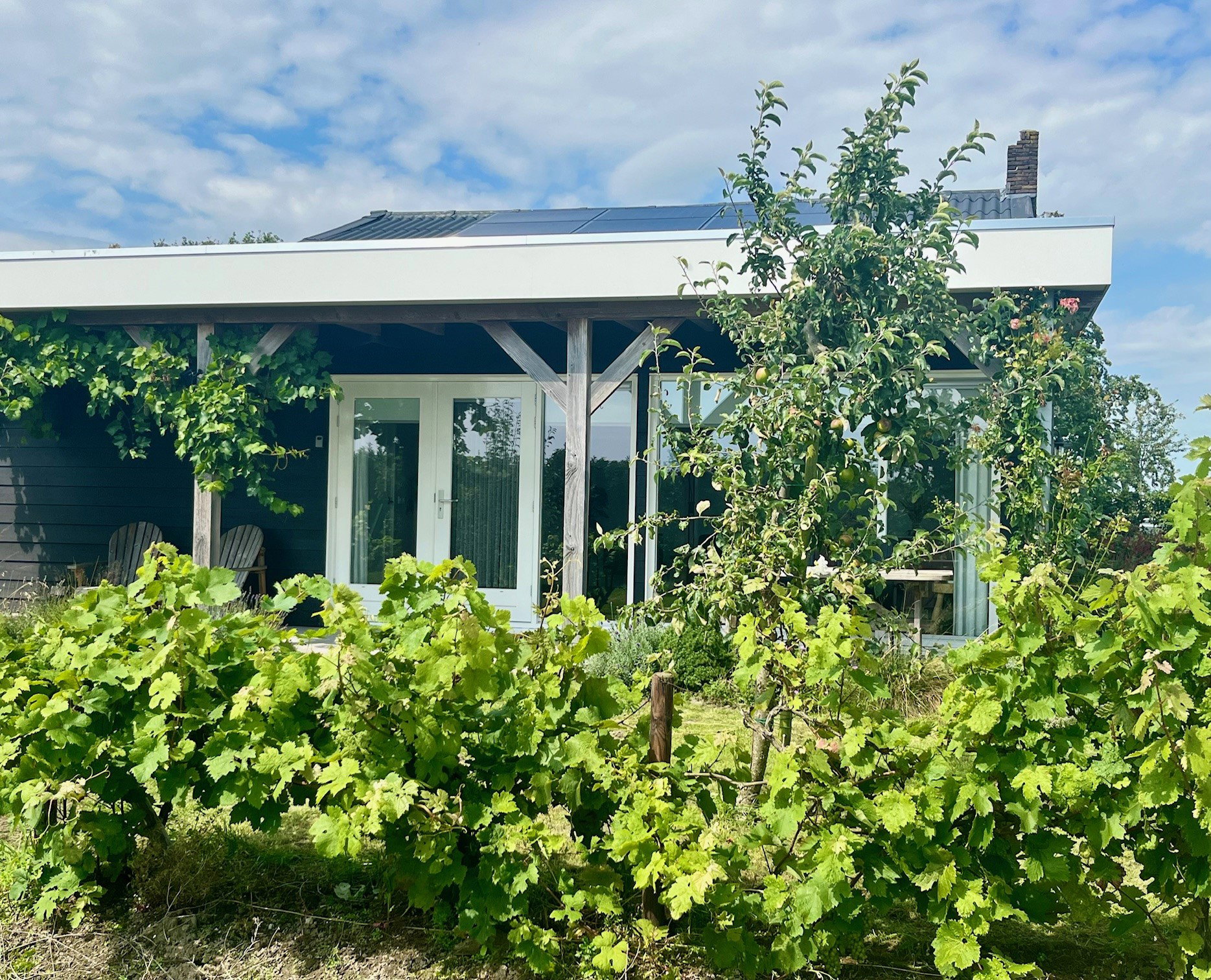 Maison nature à Kraggenburg