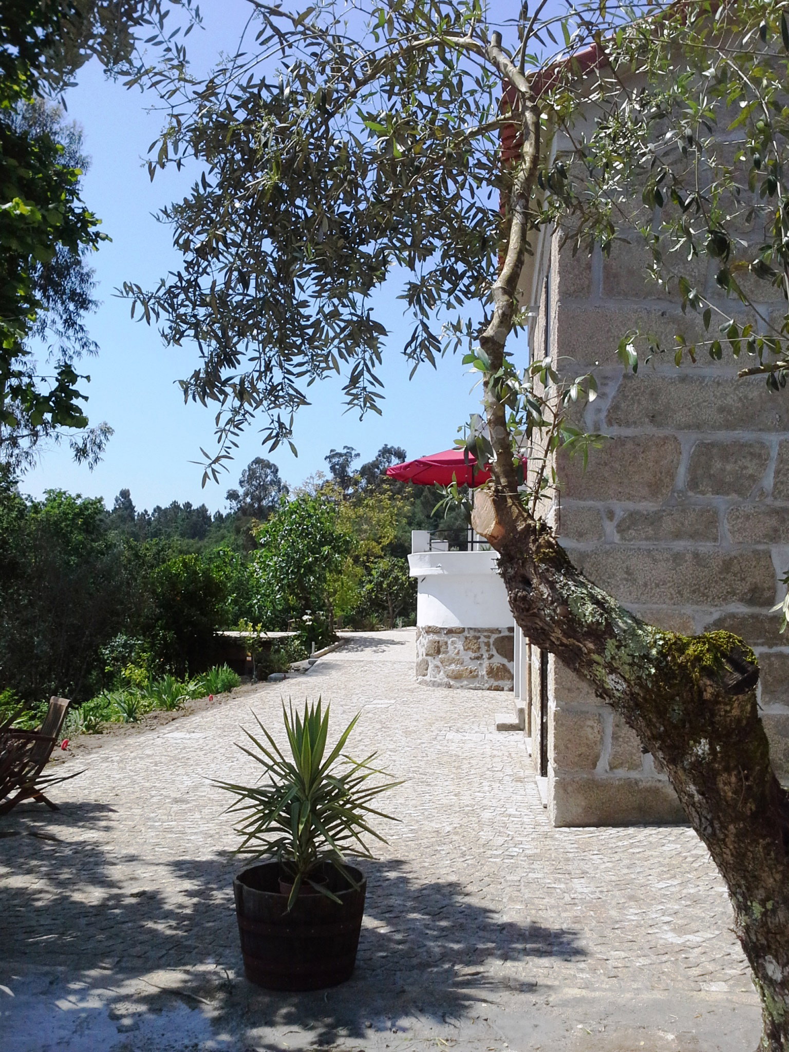 - image: 1