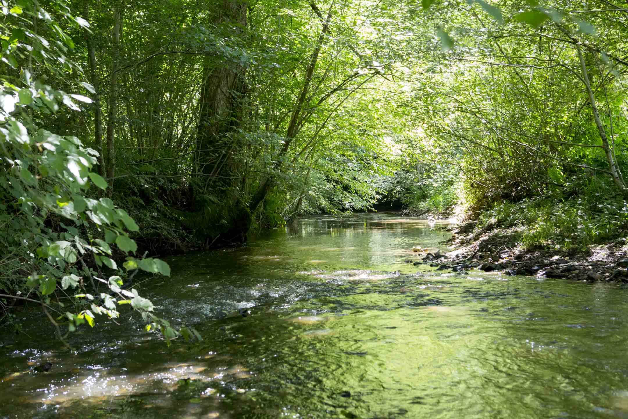 Natuurhuisje in Gengiraud