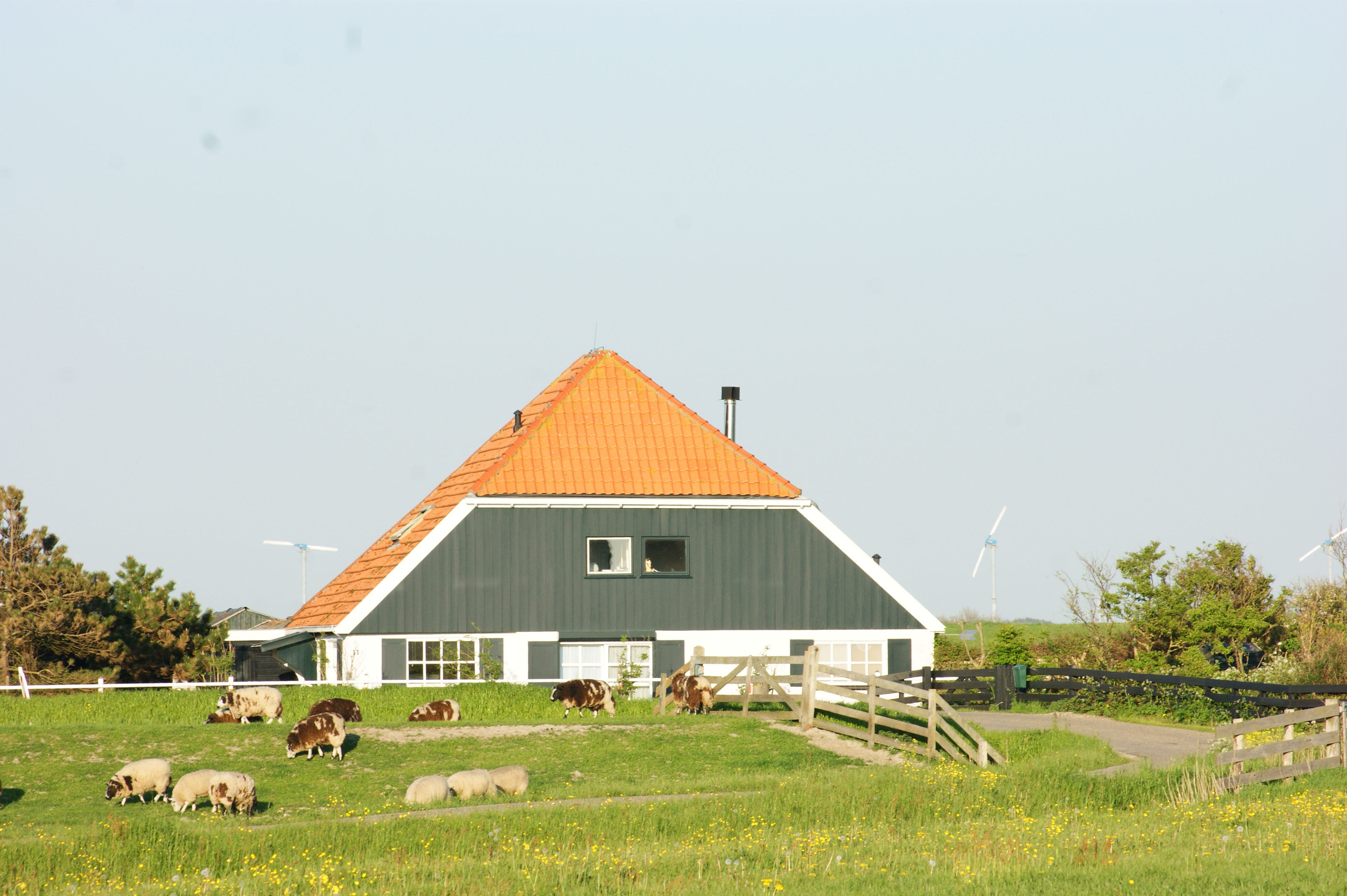 Naturhäuschen in Schoorl