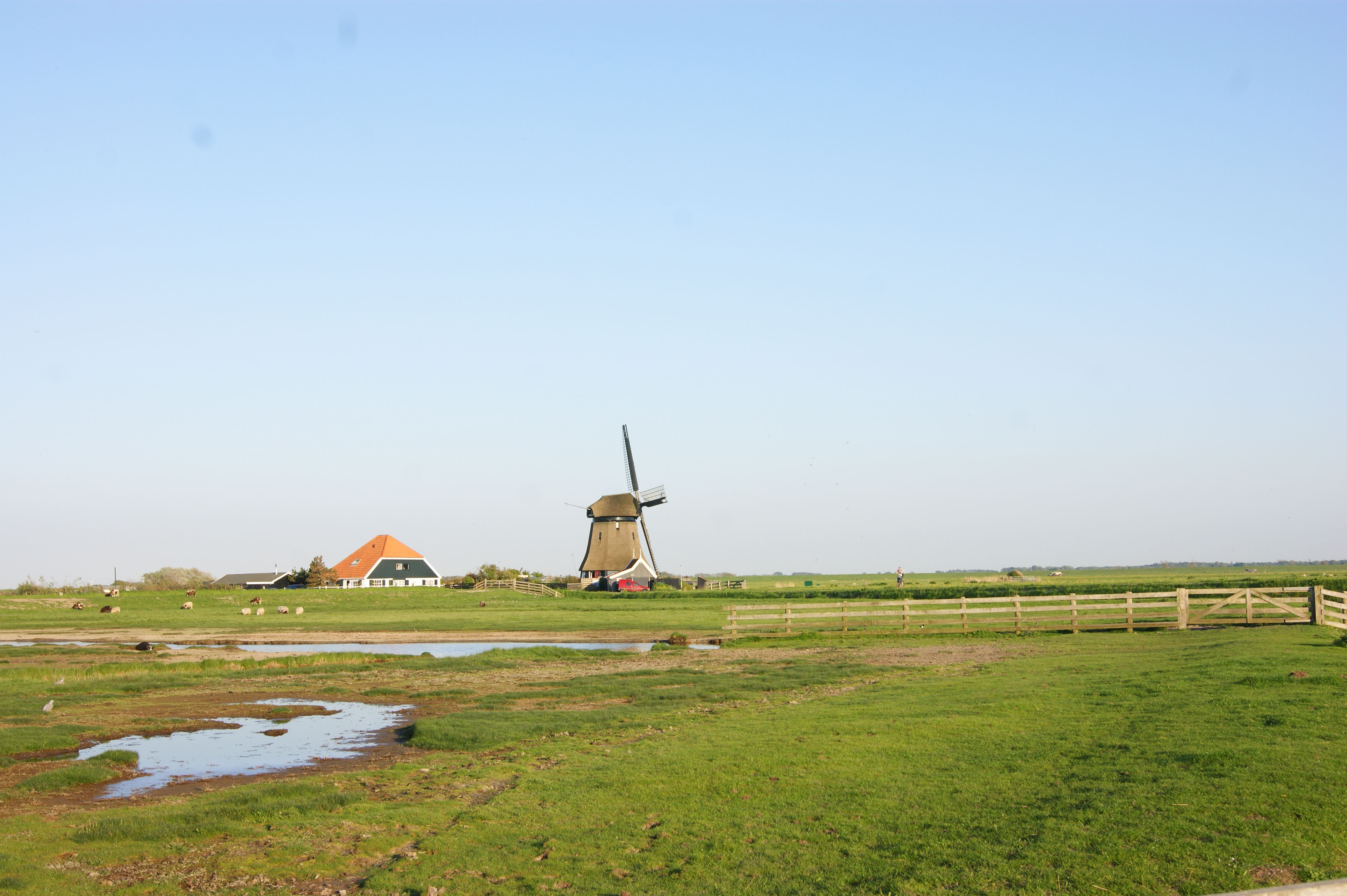 Naturhäuschen in Schoorl