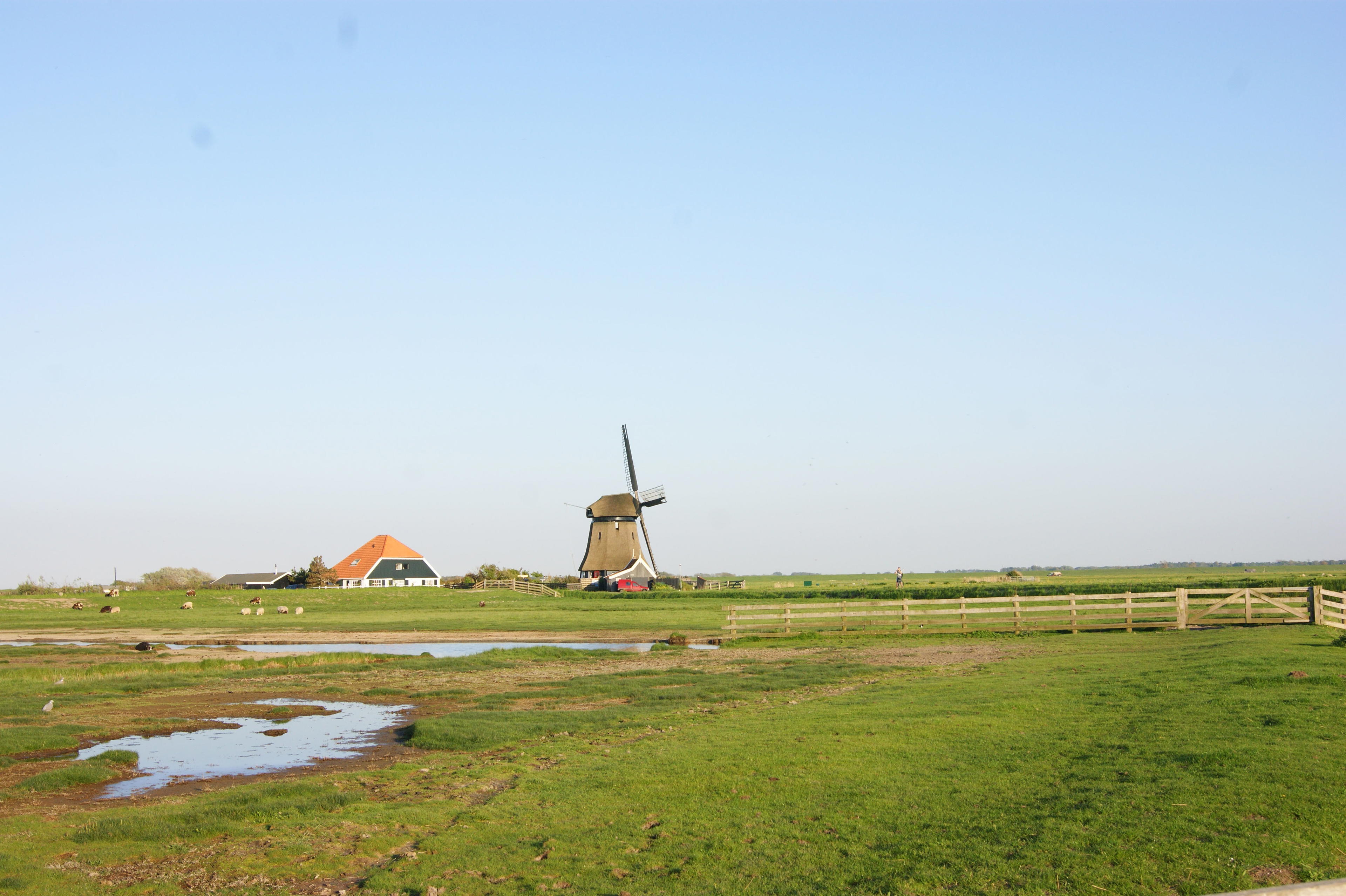 Nature house in Schoorl